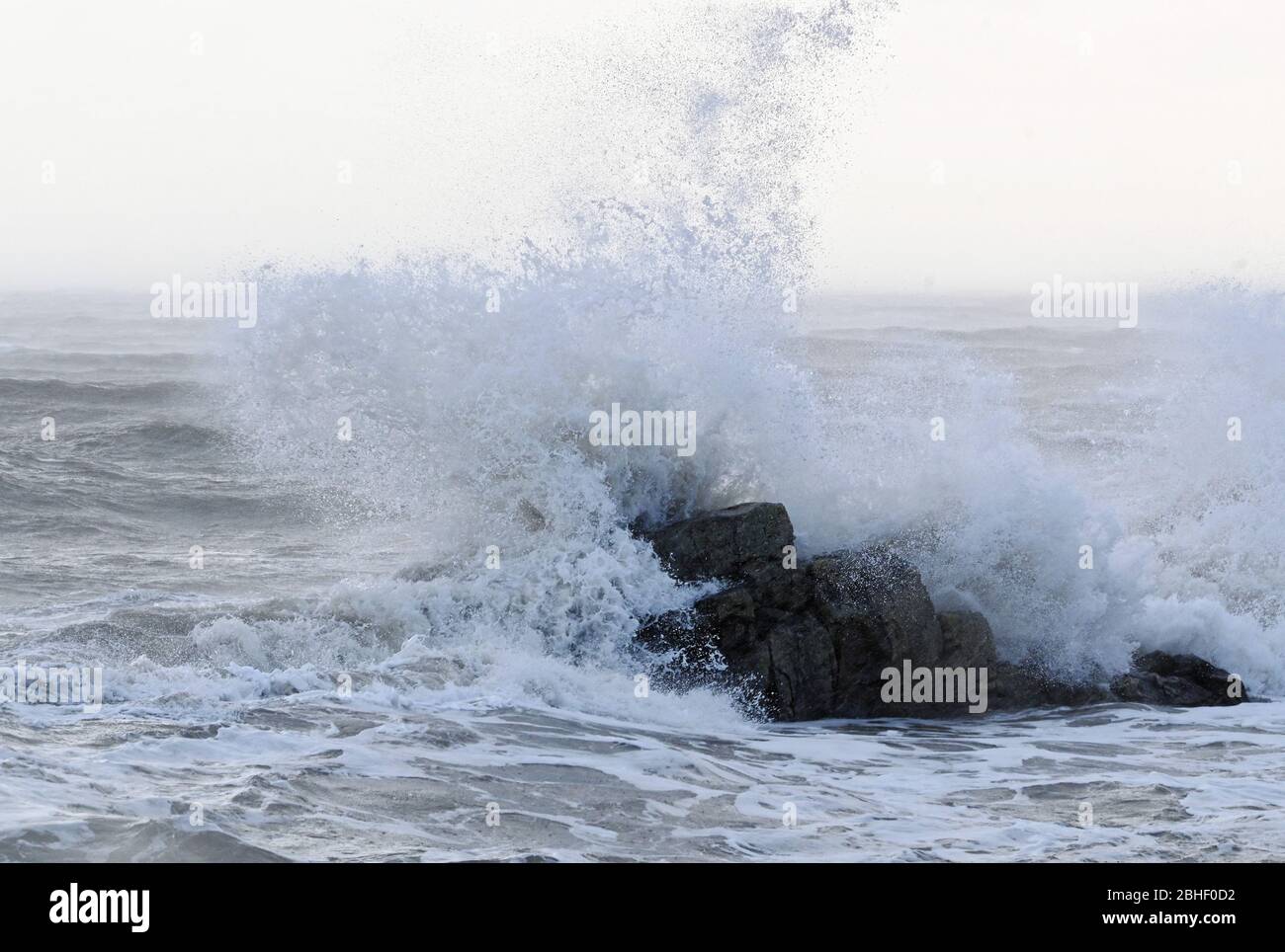 Winter storm waves crashing over rocks near St Monans, Fife, Scotland. Stock Photo