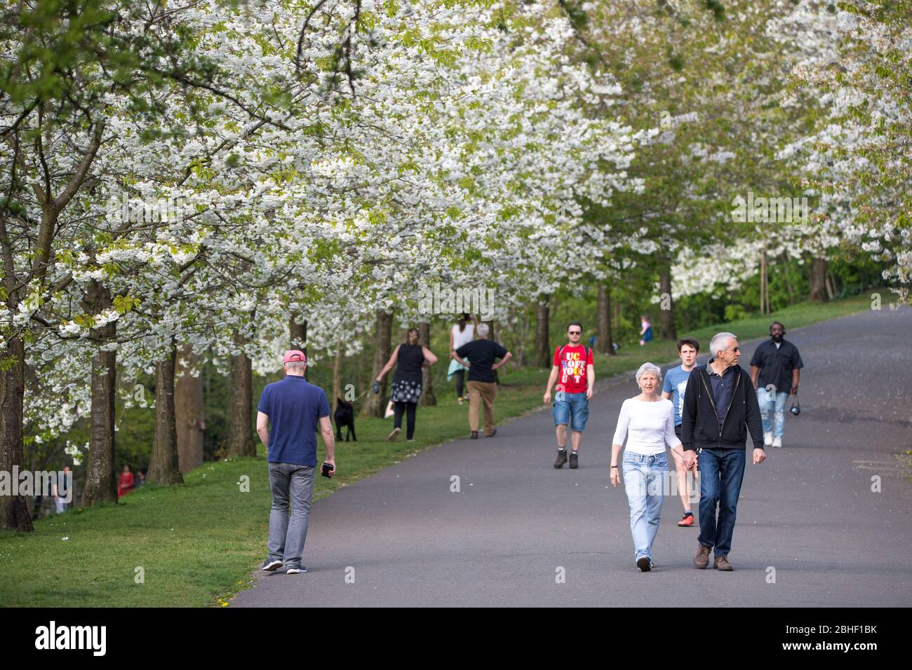 Glasgow, UK. 25th Apr, 2020. Pictured: Scenes from the first weekend of the extended lockdown from KelvinGrove Park in Glasgow's West End during a very hot and sunny Saturday. Credit: Colin Fisher/Alamy Live News Stock Photo