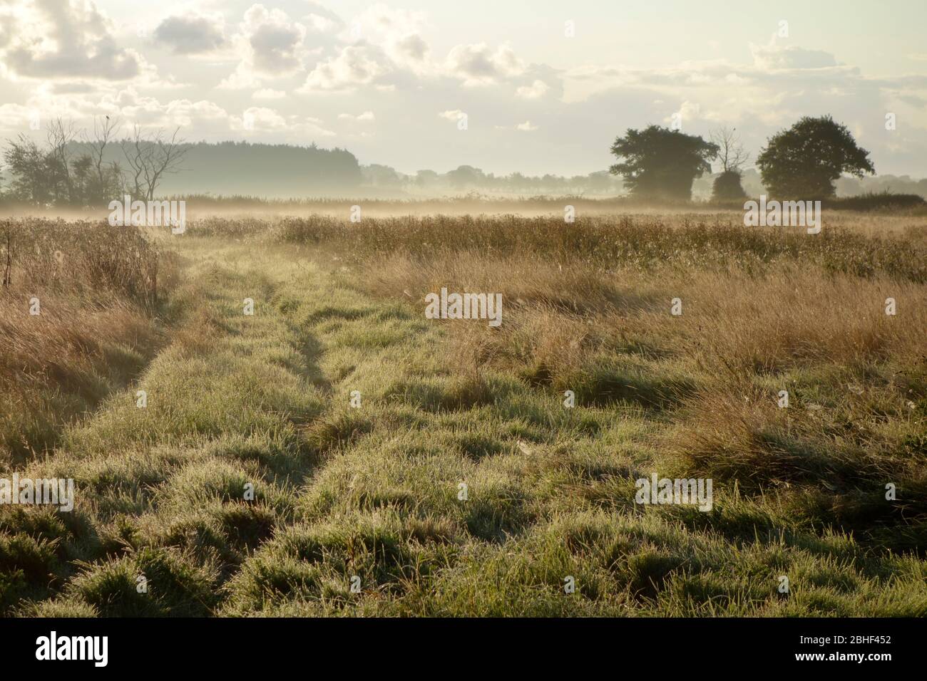 Early morning September mists over a field in Neatishead, Norfolk Stock Photo