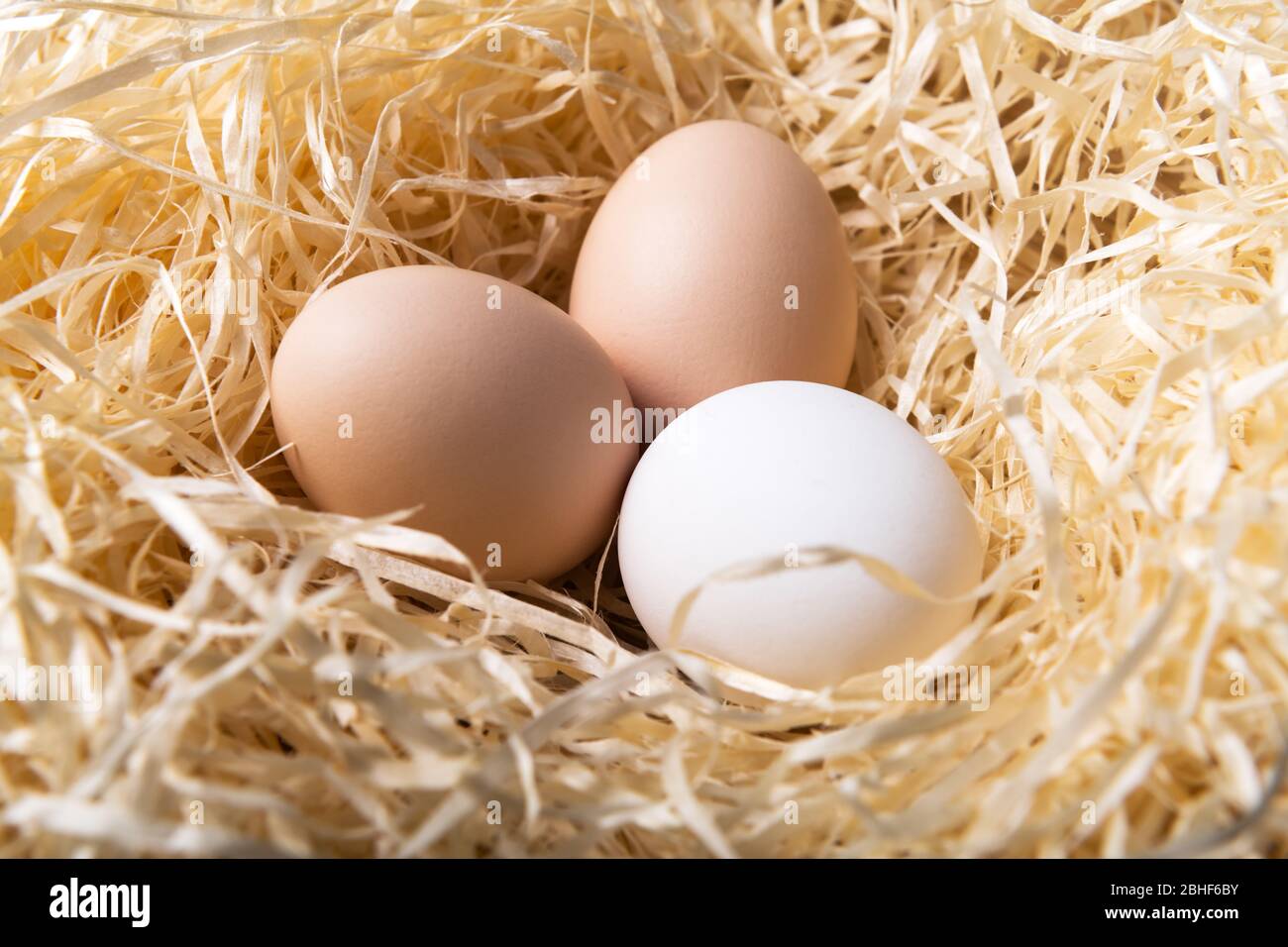 Organic chicken eggs in nest closeup. Food photography Stock Photo