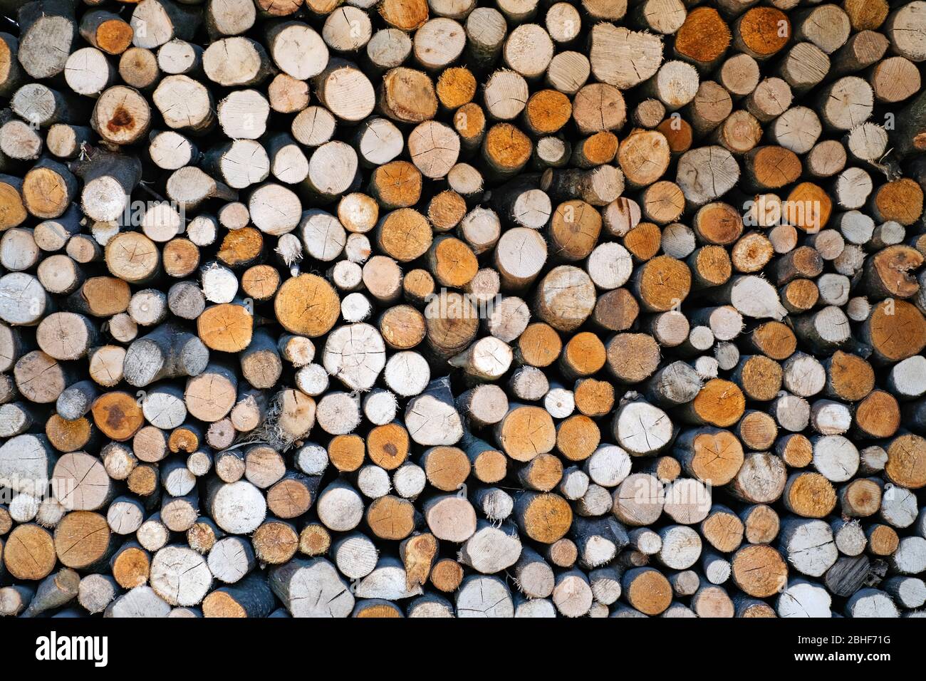 Pattern of firewoods stack closeup. Nature background Stock Photo