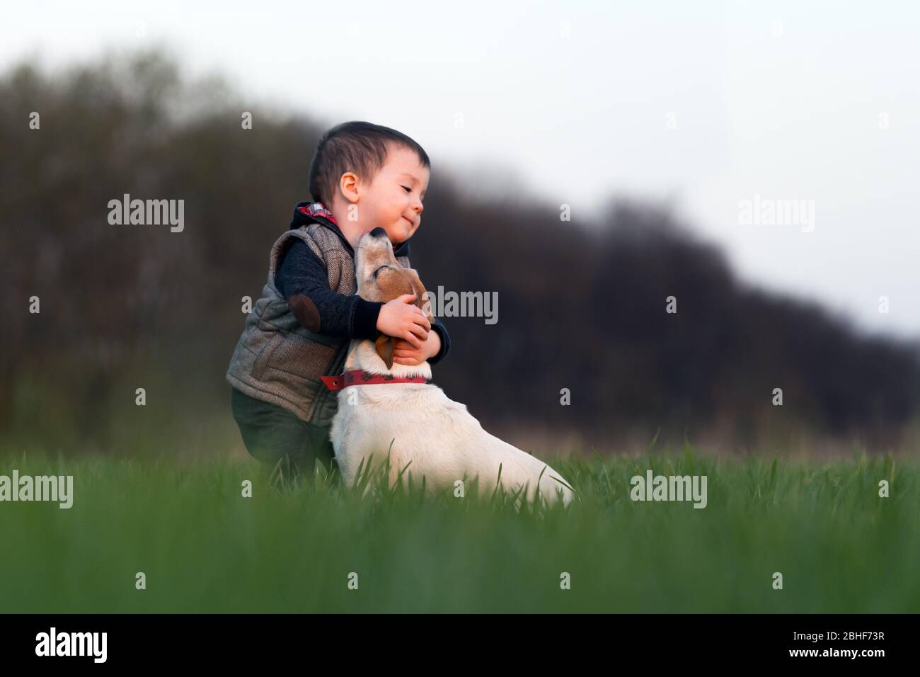 Small kid in yellow jacket with jack russel terrier puppy embrace one another on spring field on sunset time Stock Photo