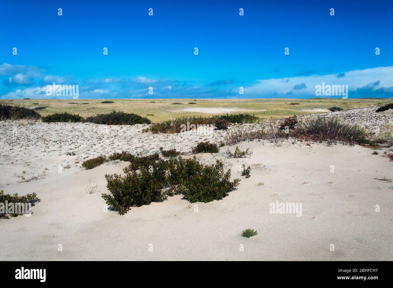 The sand dunes of national seashore located in Cape Cod Massachusetts on a sunny blue sky autumn day in New england. Stock Photo