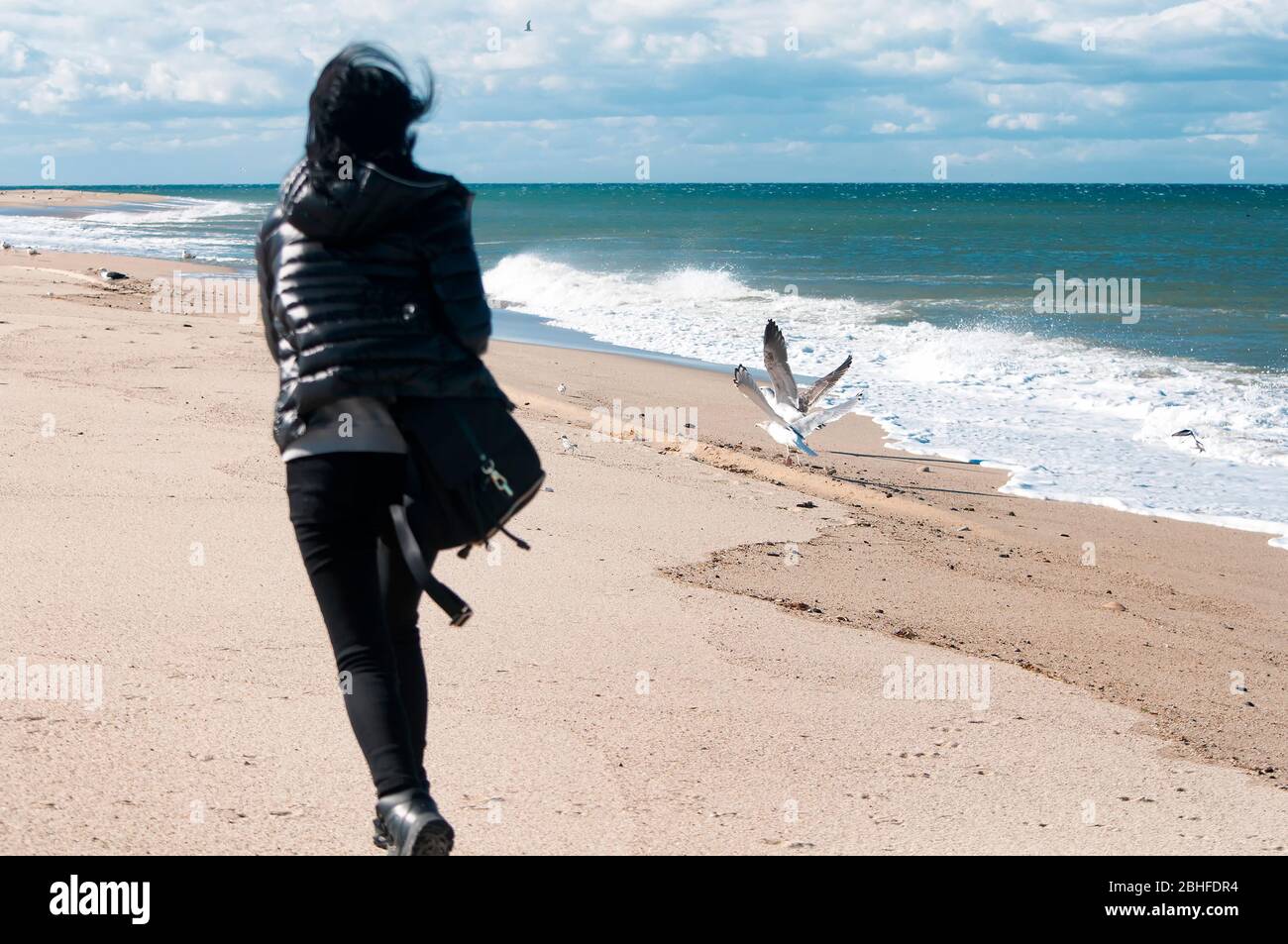 A blurred woman with long hair running after gulls on a sandy Cape Cod Beach on a sunny day. Stock Photo