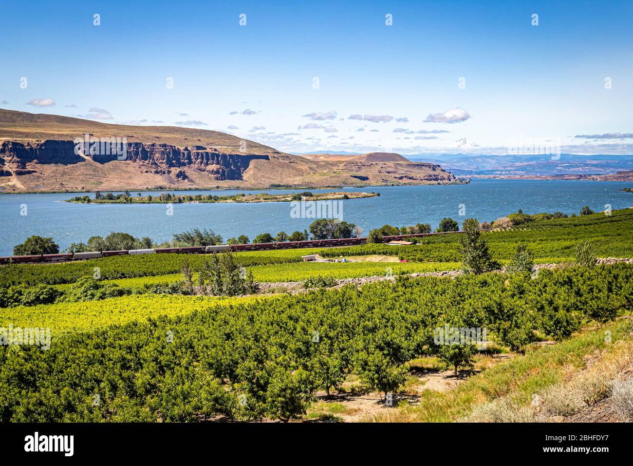 Apple orchard in washington state hires stock photography and images