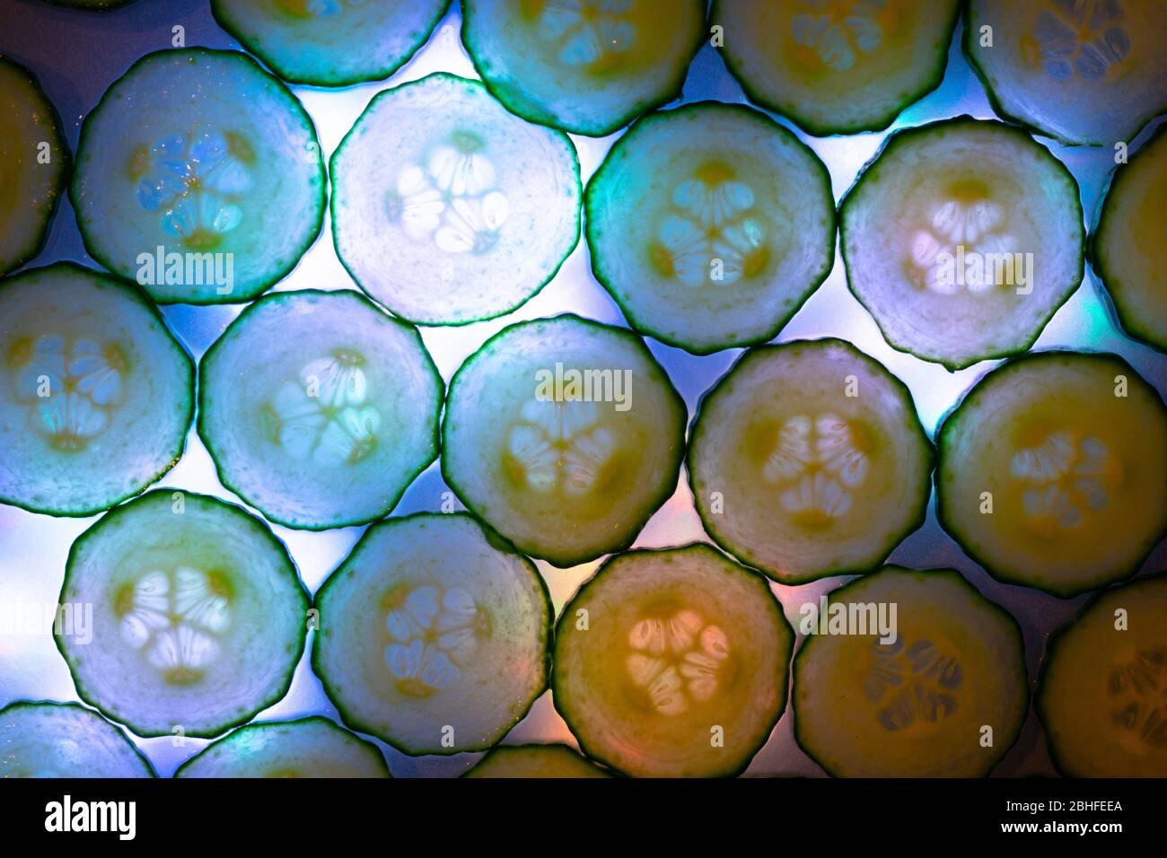 Cucumber 10 Stock Photo