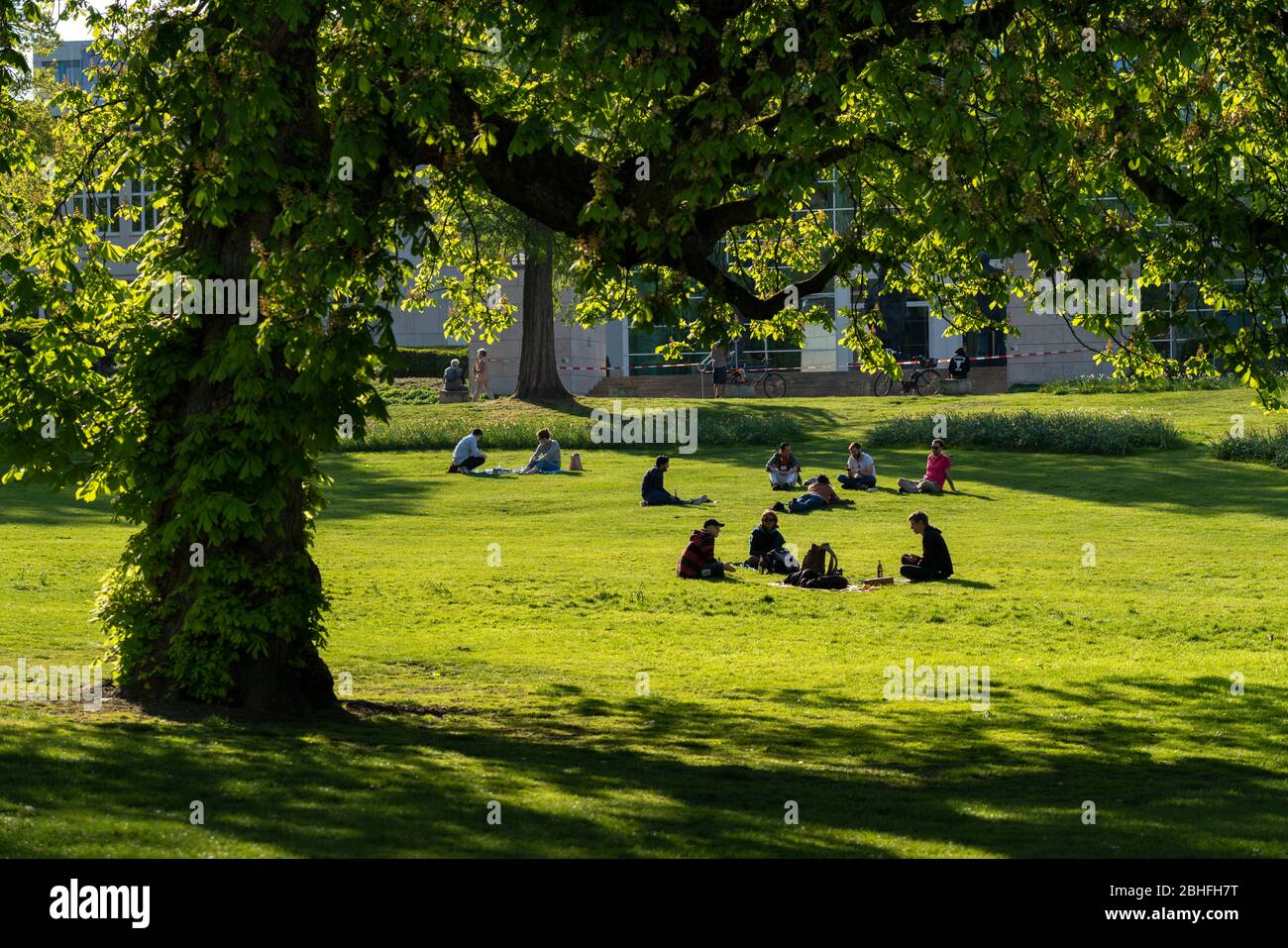 Stadtgarten in Essen, in the city centre, most visitors observe the ban on contact while enjoying the sun in the city park, effects of the corona cris Stock Photo