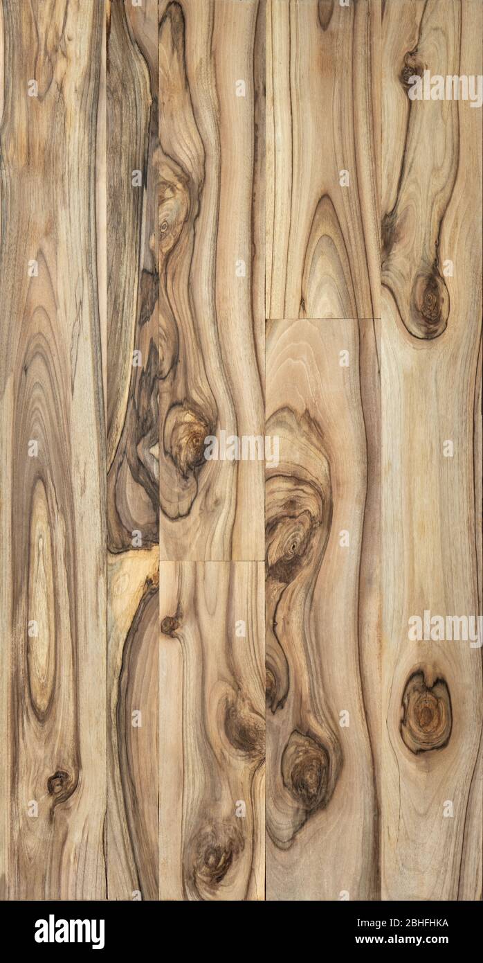 Texture of old walnut wood panel use for multipurpose background. Stock Photo