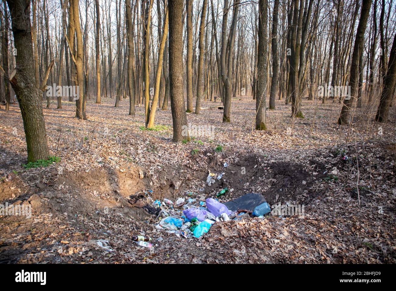 Garbage in the forest. Pollution of nature. Ecological catastrophy. Causes of global warming. Stock Photo