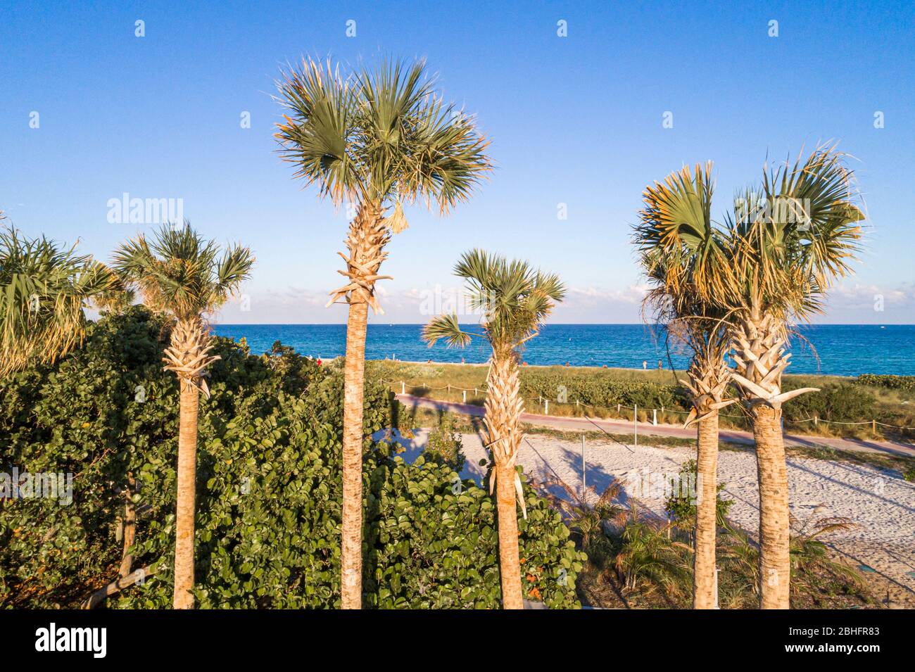 Miami Beach Florida,Atlantic Ocean water,public,aerial overhead bird's eye view above,palm trees,North Beach,open space park,visitors travel traveling Stock Photo