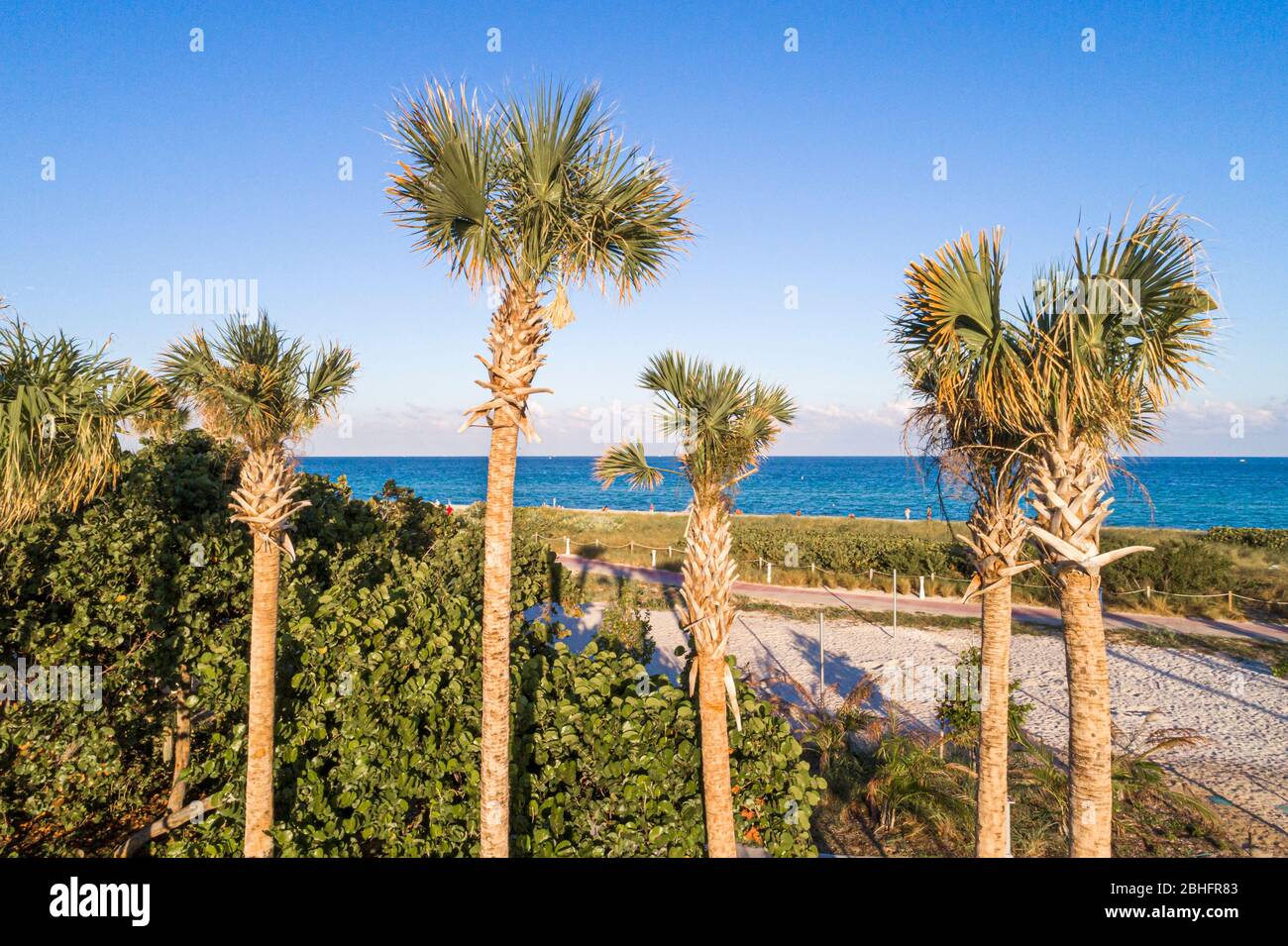 Miami Beach Florida Atlantic Ocean Water public aerial Overhead Bird s