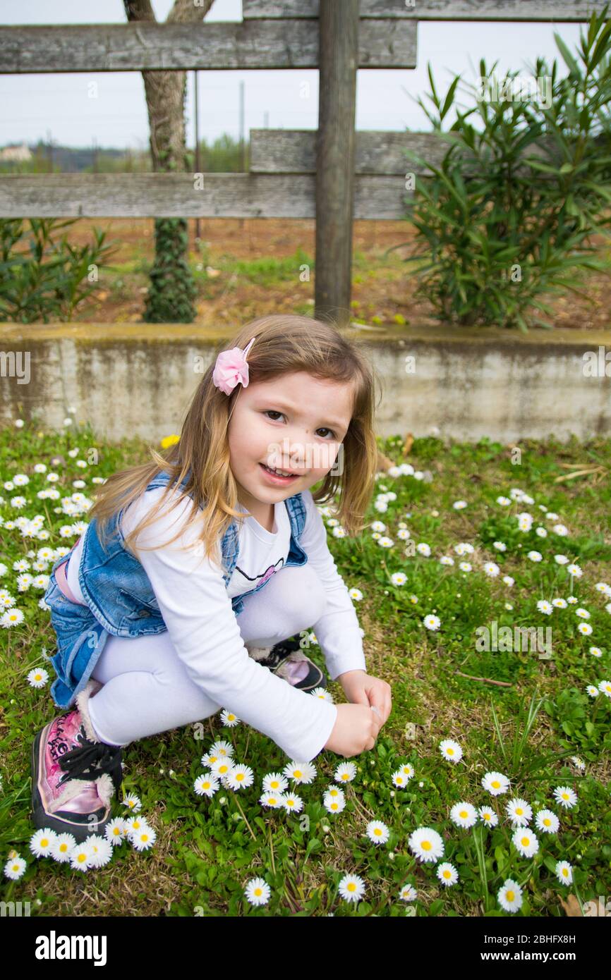 Verona, Italy - March 29, 2015: Child collects daisies in an outdoor playground. Stock Photo