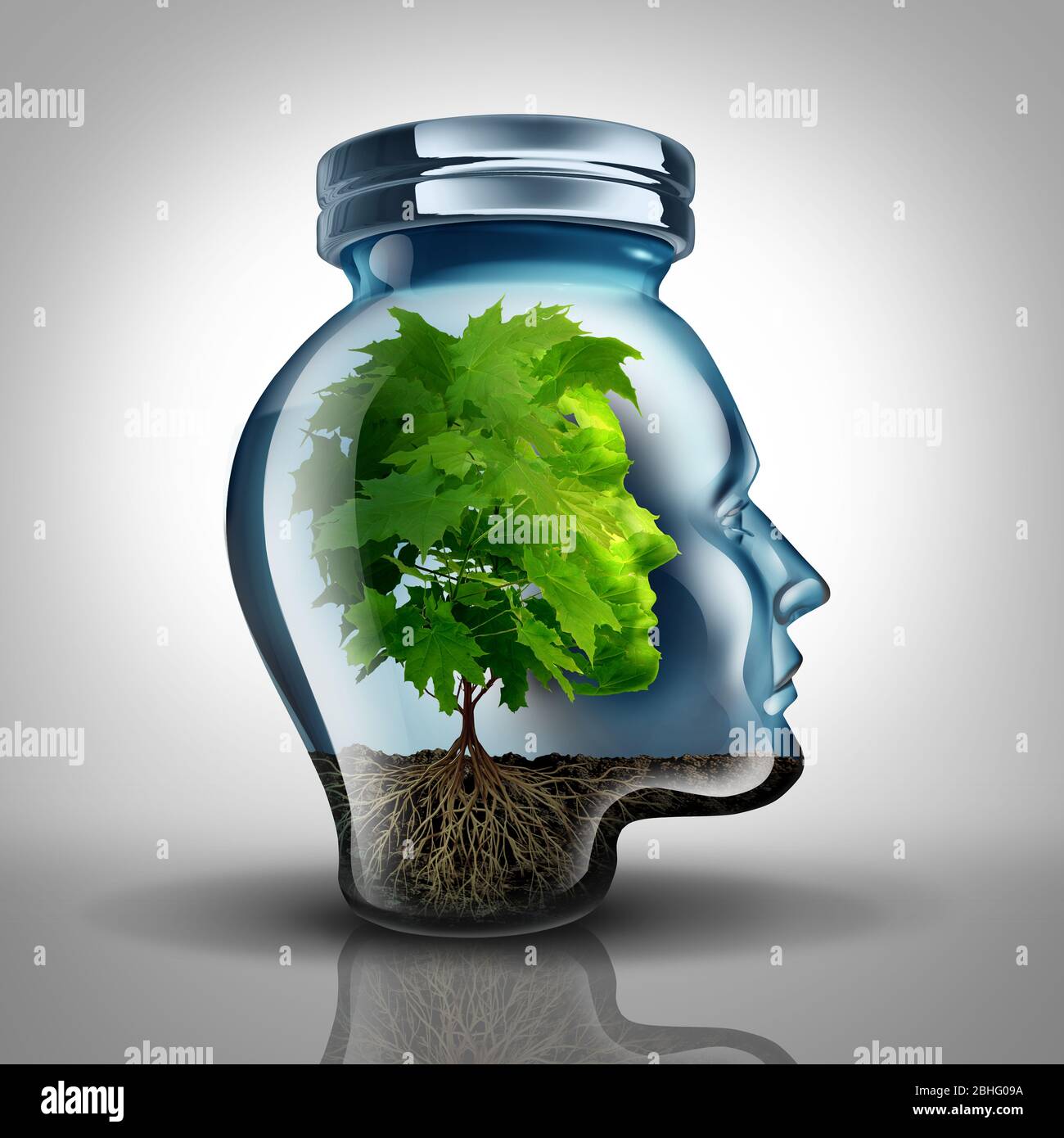 Inner growth psychology concept and personal development idea as a glass jar shaped as a human head with a tree inside representing mental health. Stock Photo