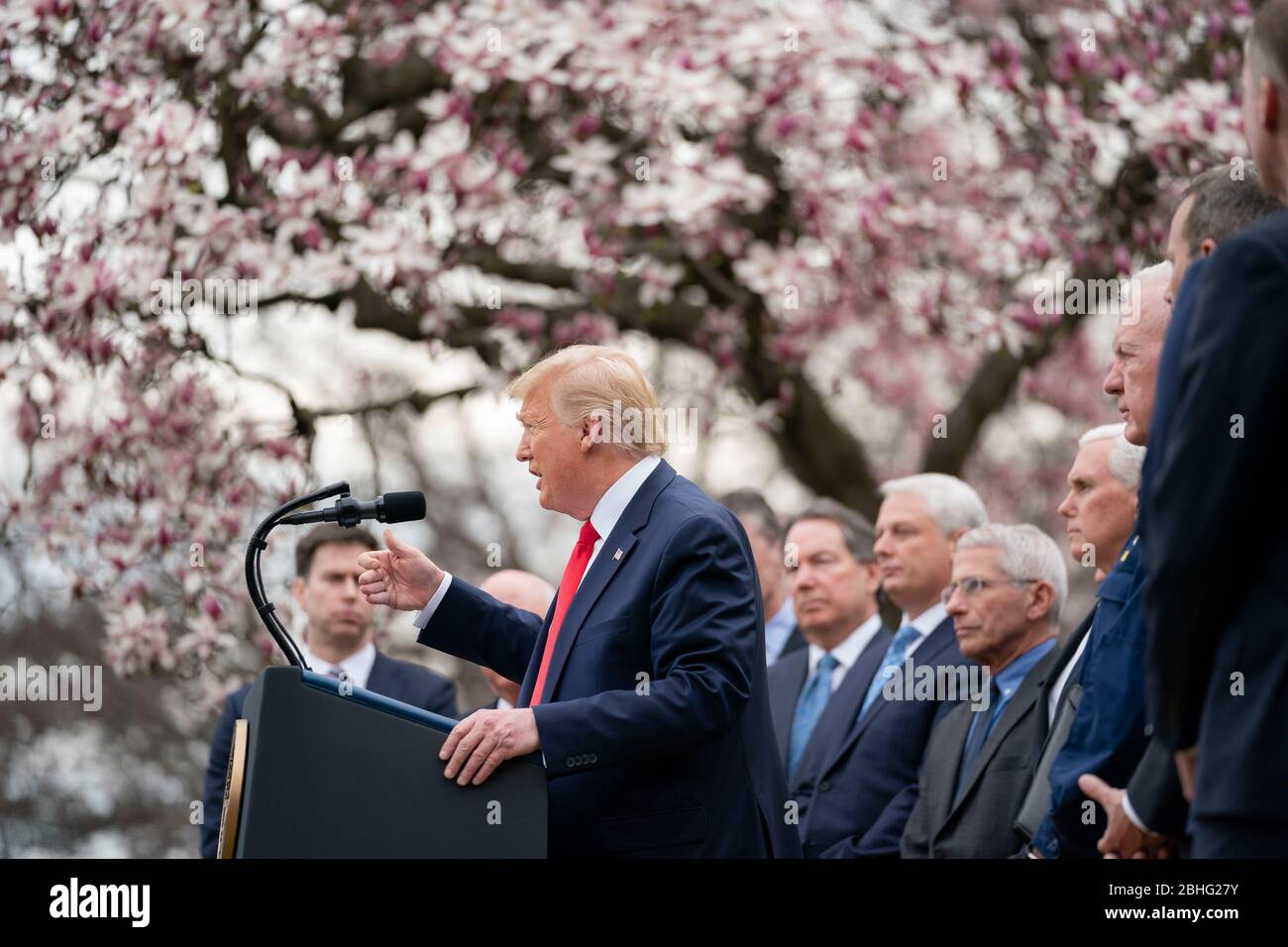 President Donald J. Trump, joined by Vice President Mike Pence and members of the White House Coronavirus Task Force, announces a national emergency to further battle the Coronavirus outbreak, at a news conference Friday, March 13, 2020, in the Rose Garden of the White House. (USA) Stock Photo