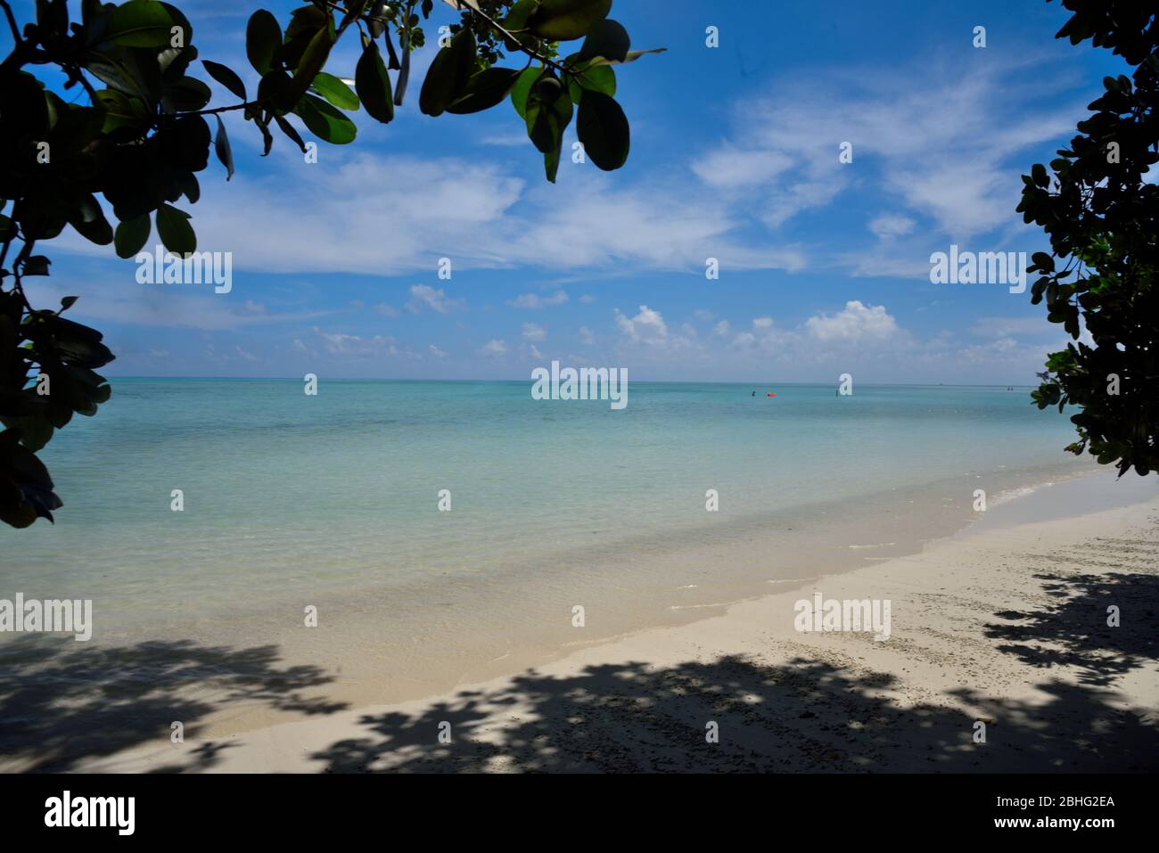 Paradise film hi-res stock photography and images - Alamy
