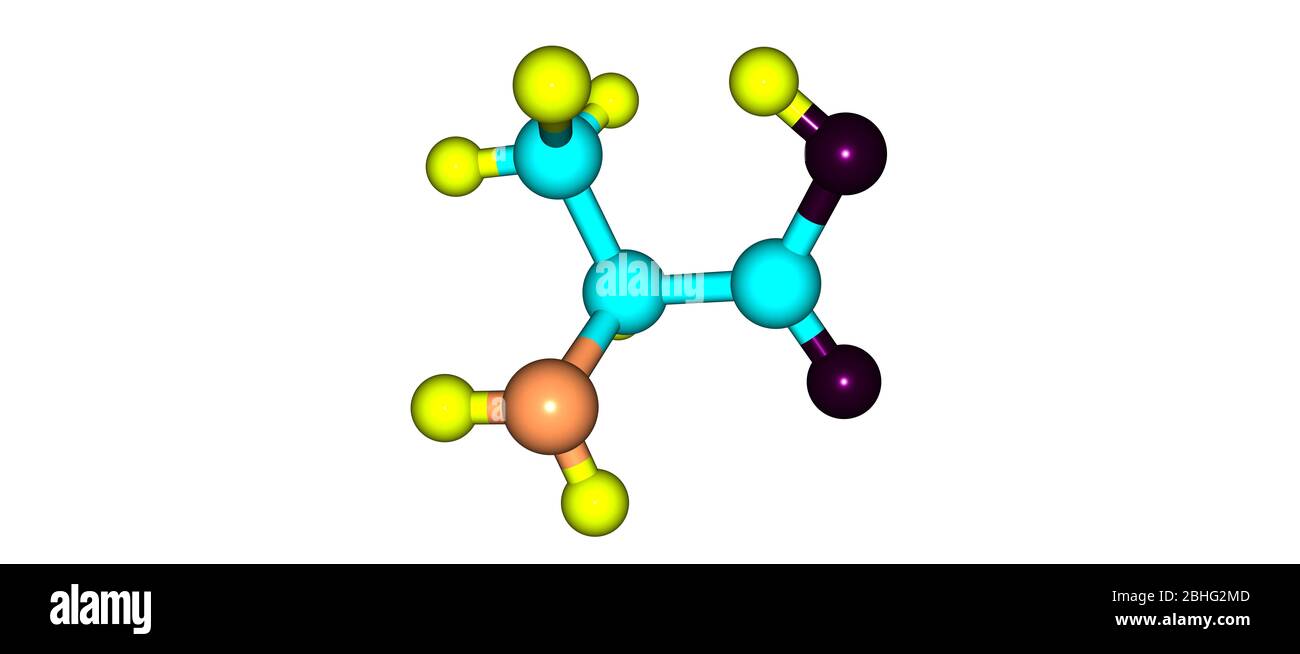 Alanine Is A Non Essential Amino Acid That Occurs In High Levels In Its Free State In Plasma 3d Illustration Stock Photo Alamy