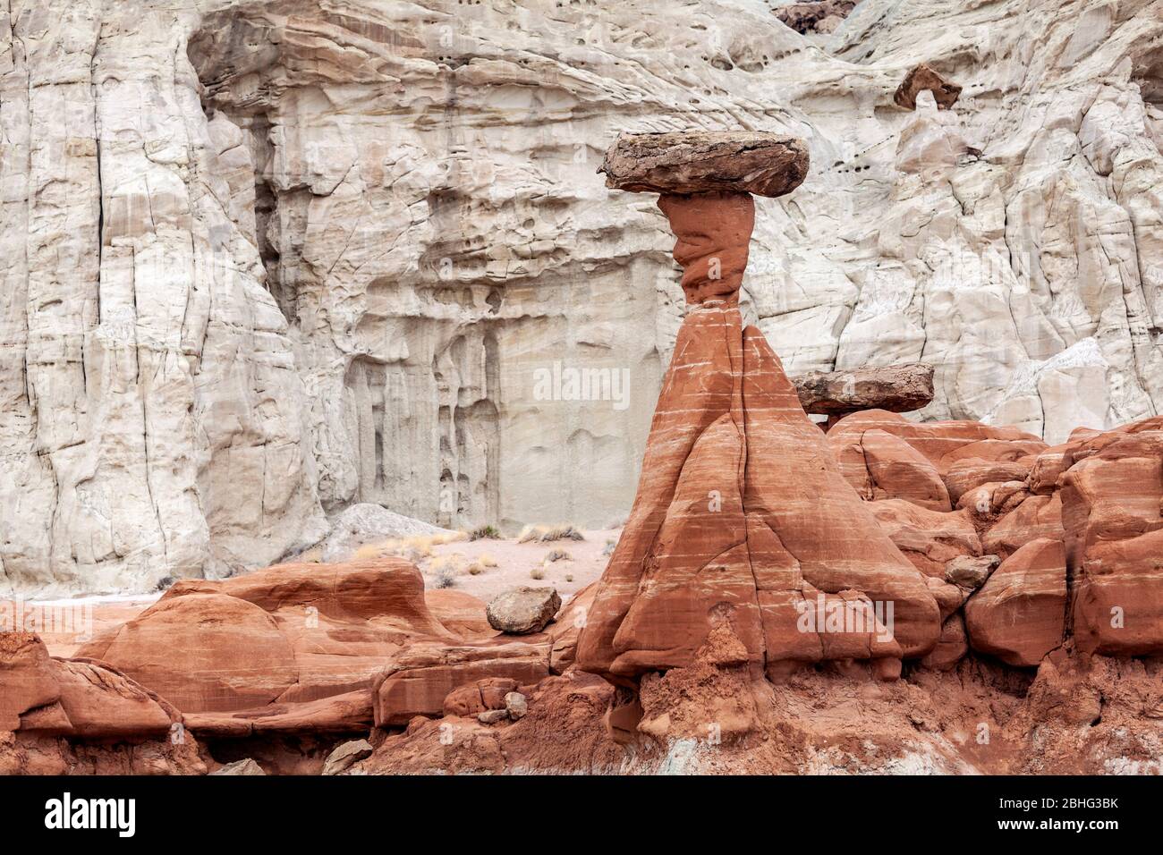 UT00507-00...UTAH - The Toadstools, a rock formation area along Highway 89 administered by the BLM. Stock Photo