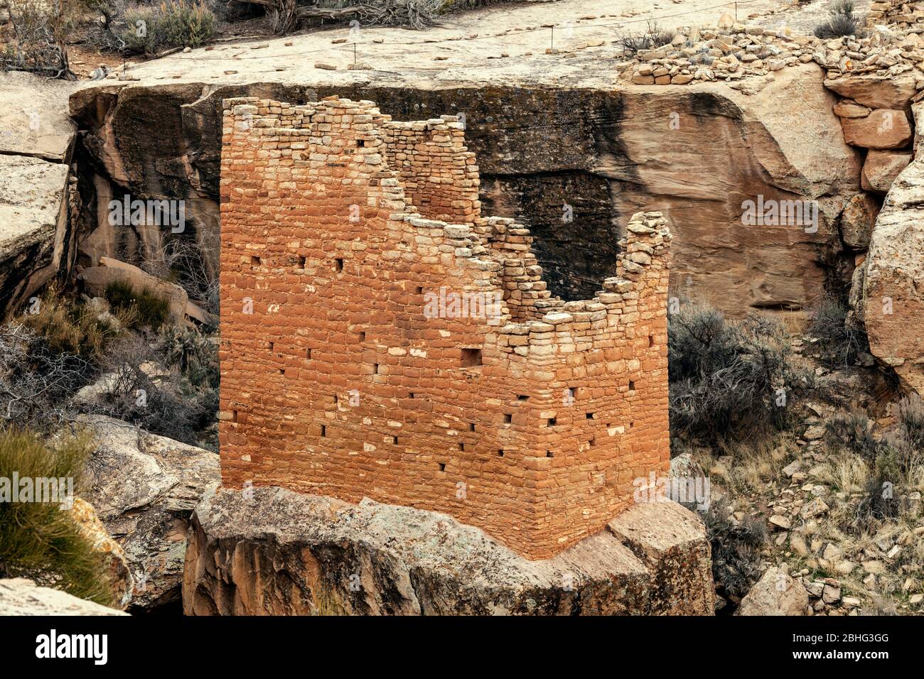 UT00514-00...UTAH/Colorado  - Ancestral Pueblo People structure at The Holly Site in Hovenweep National Monument. Stock Photo