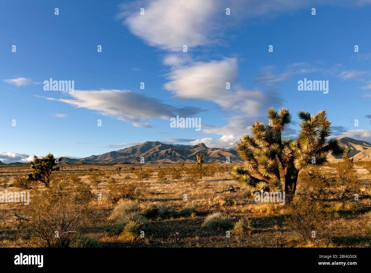Page 2 St Joshua High Resolution Stock Photography And Images Alamy