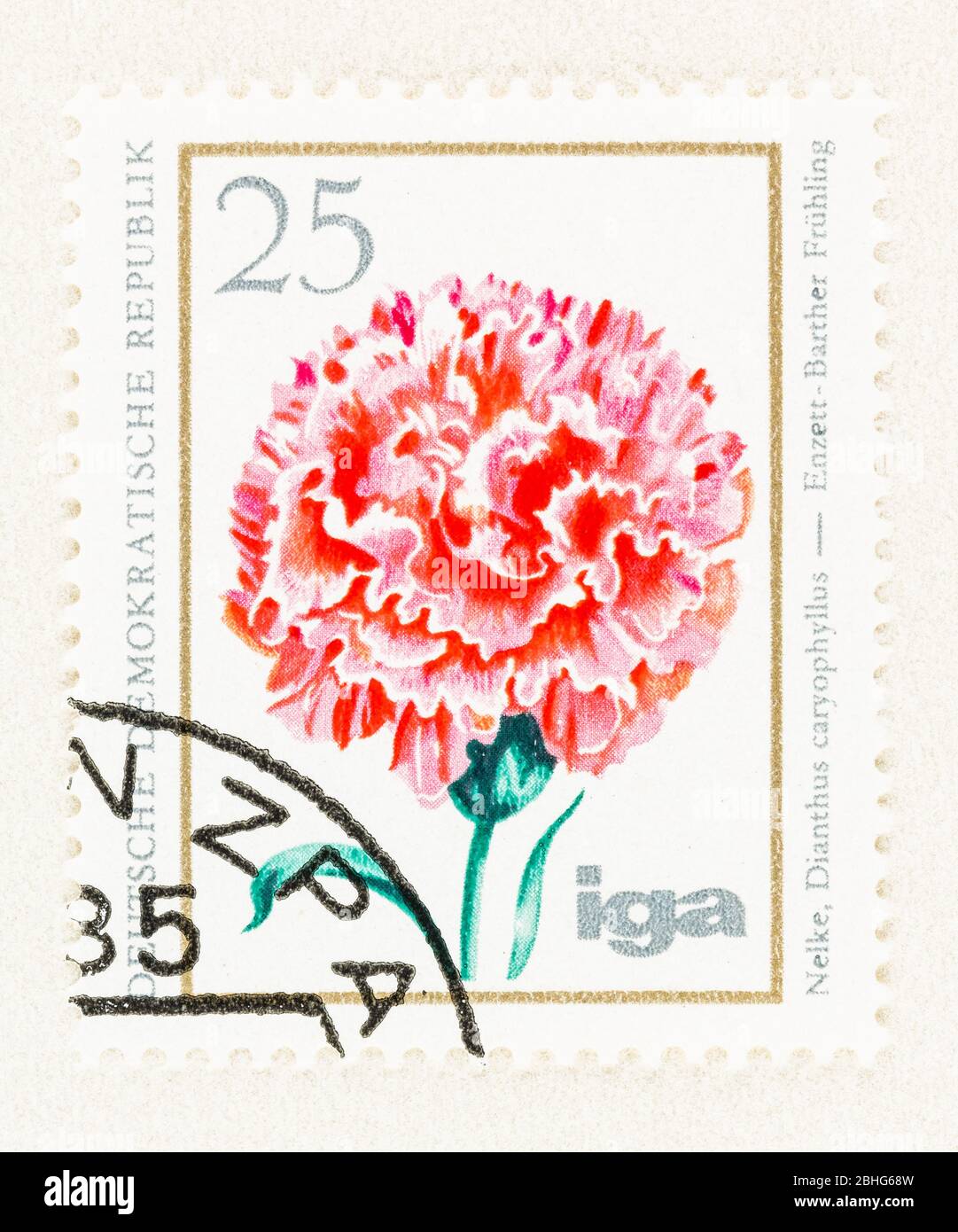 SEATTLE WASHINGTON - April 25, 2020: 1975 East Germany postage stamp featuring pink carnation in bloom. Scott # 1673 Stock Photo