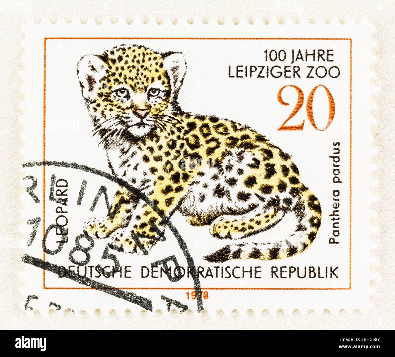 SEATTLE WASHINGTON - April 25, 2020: Postage with young leopard commemorating 100 years of the Leipzig Zoo in East Germany. Scott # 1911 Stock Photo