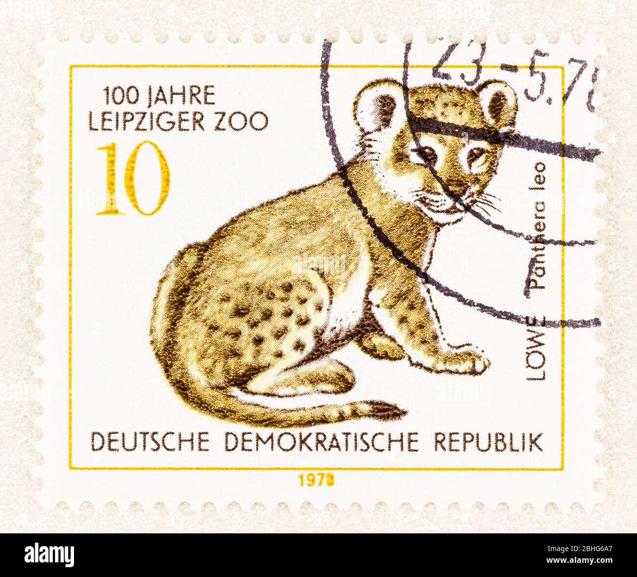 SEATTLE WASHINGTON - April 25, 2020: Postage featuring young lion commemorating 100 years of the Leipzig Zoo in East Germany. Scott # 1910 Stock Photo