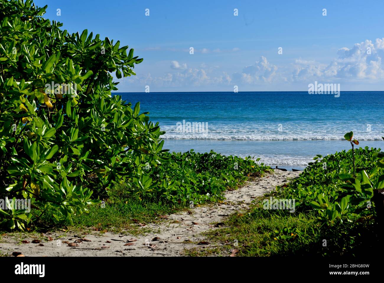 Paradise 4k hi-res stock photography and images - Alamy