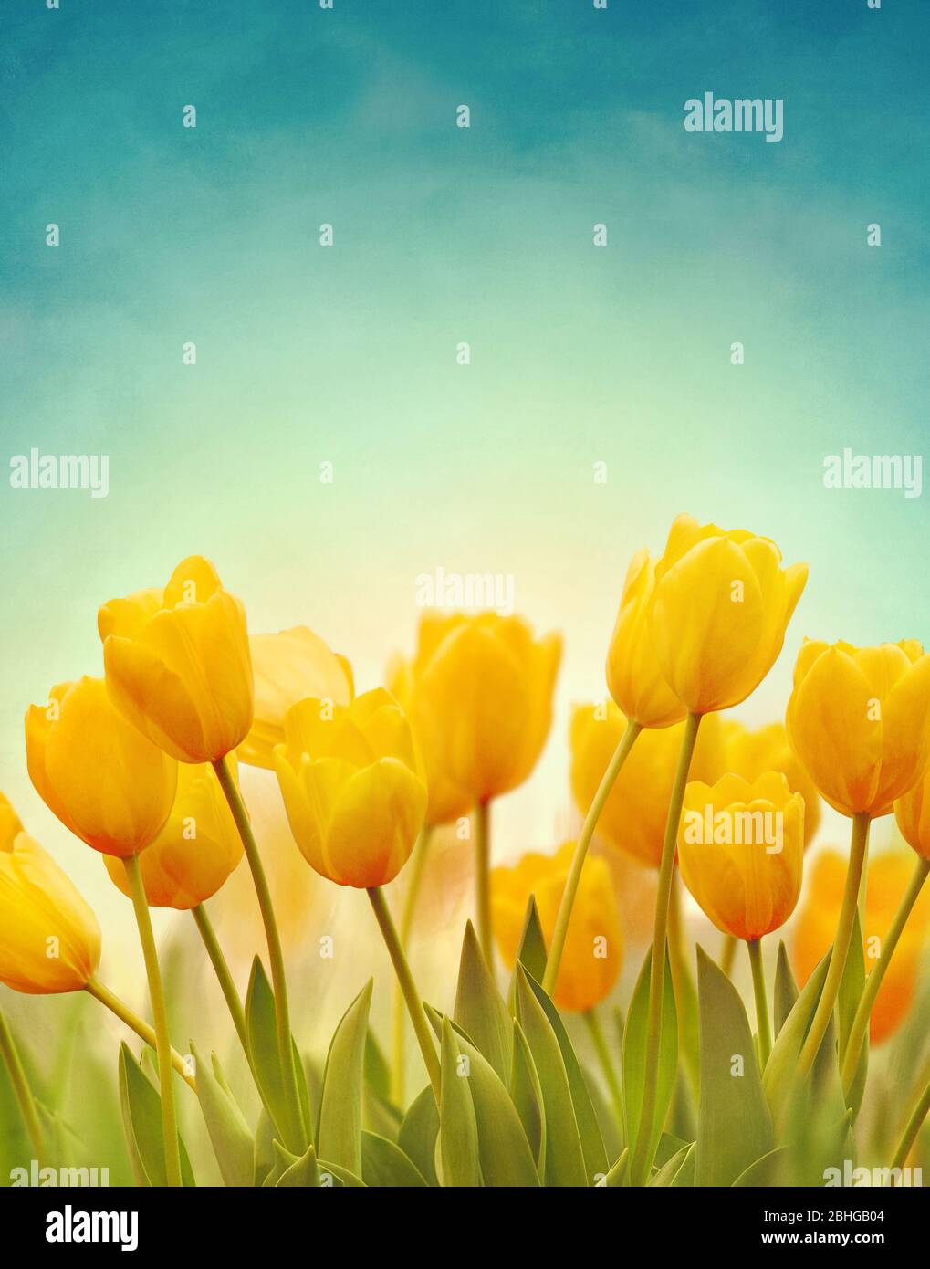 Spring Background Stock Photos and Images - 123RF