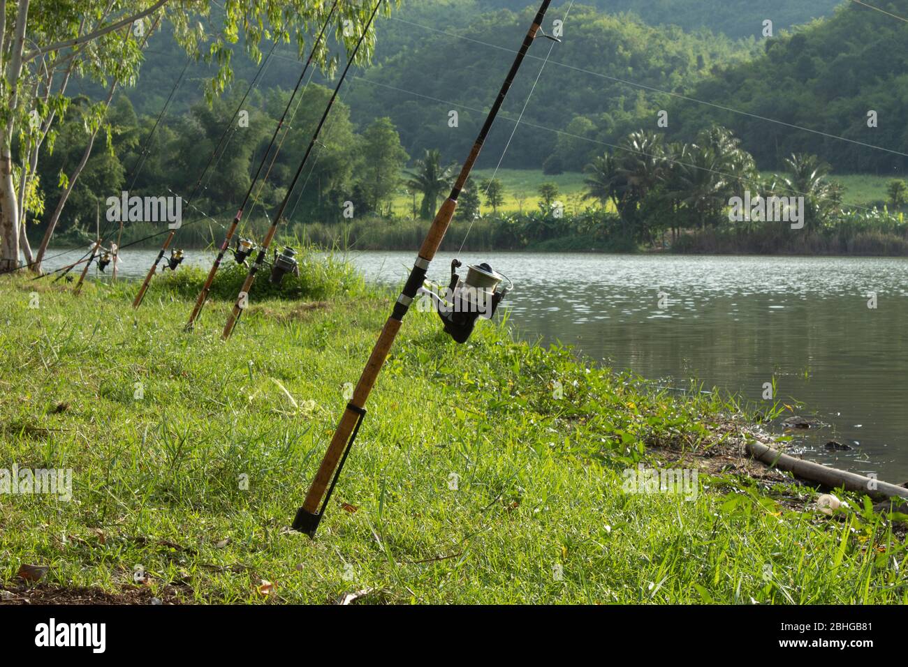 Fishing rod that is implanted on the ground at the Reservoir. Stock Photo