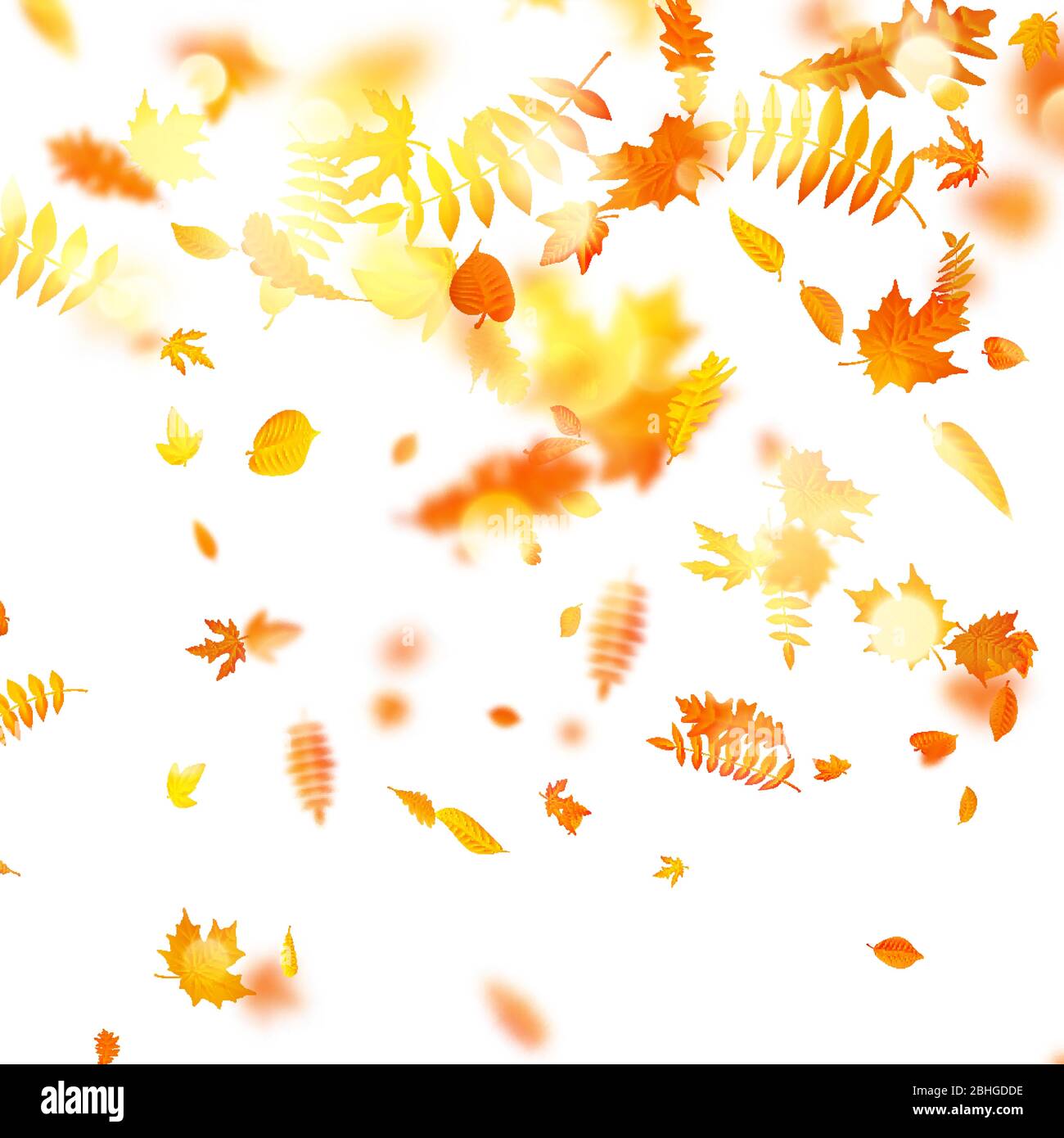 Autumn composition with maple leaves. EPS 10 vector Stock Vector