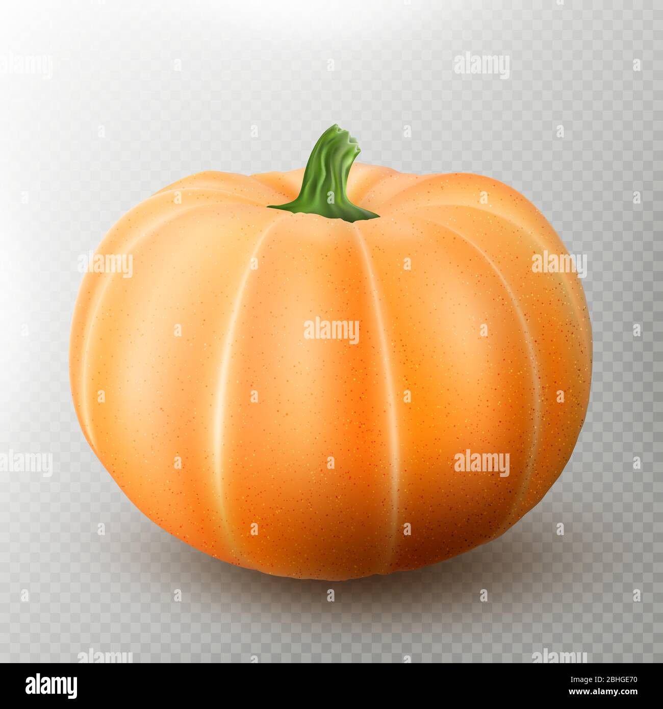 Realistic macro orange pumpkin isolated on transparent background. EPS 10 Stock Vector