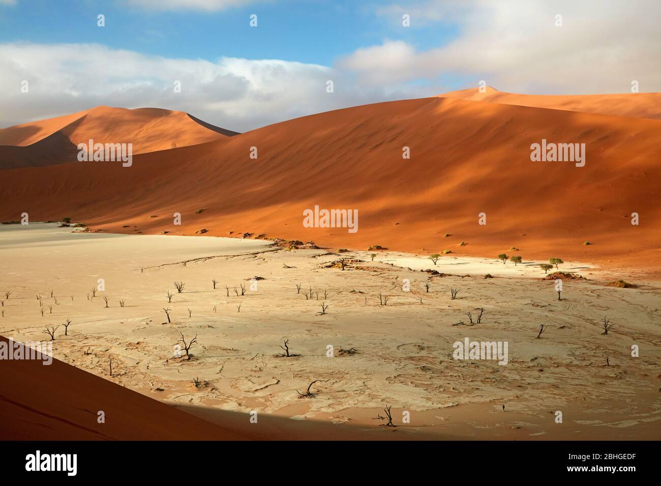 Dead trees (thought to be 900 years old) and sand dunes at Deadvlei, near Sossusvlei, Namib-Naukluft National Park, Namibia, Africa Stock Photo