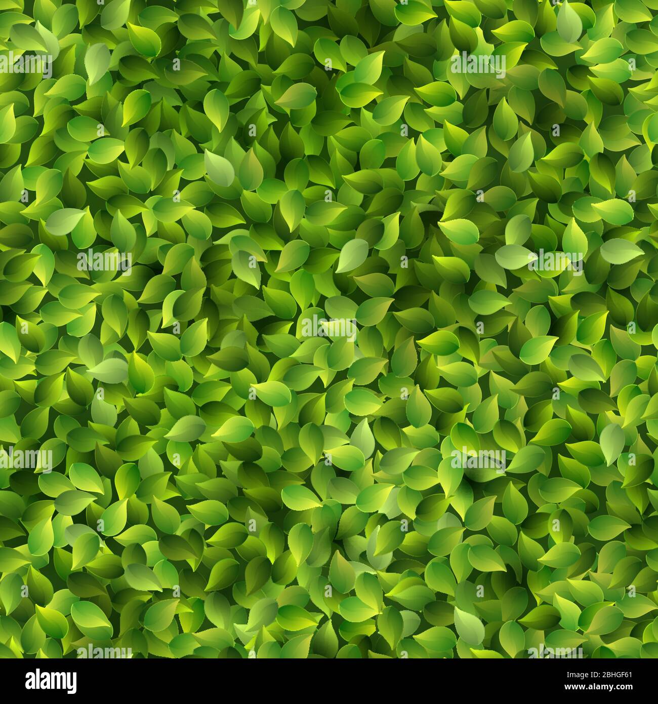 Seamless green leaves pattern spring or summer fresh background. EPS 10 Stock Vector
