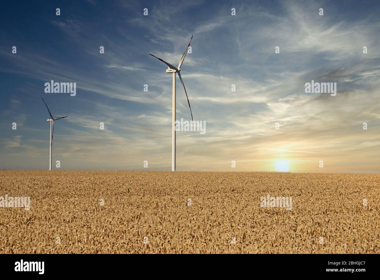wind turbines in the wheat field sunset landscapes Stock Photo - Alamy