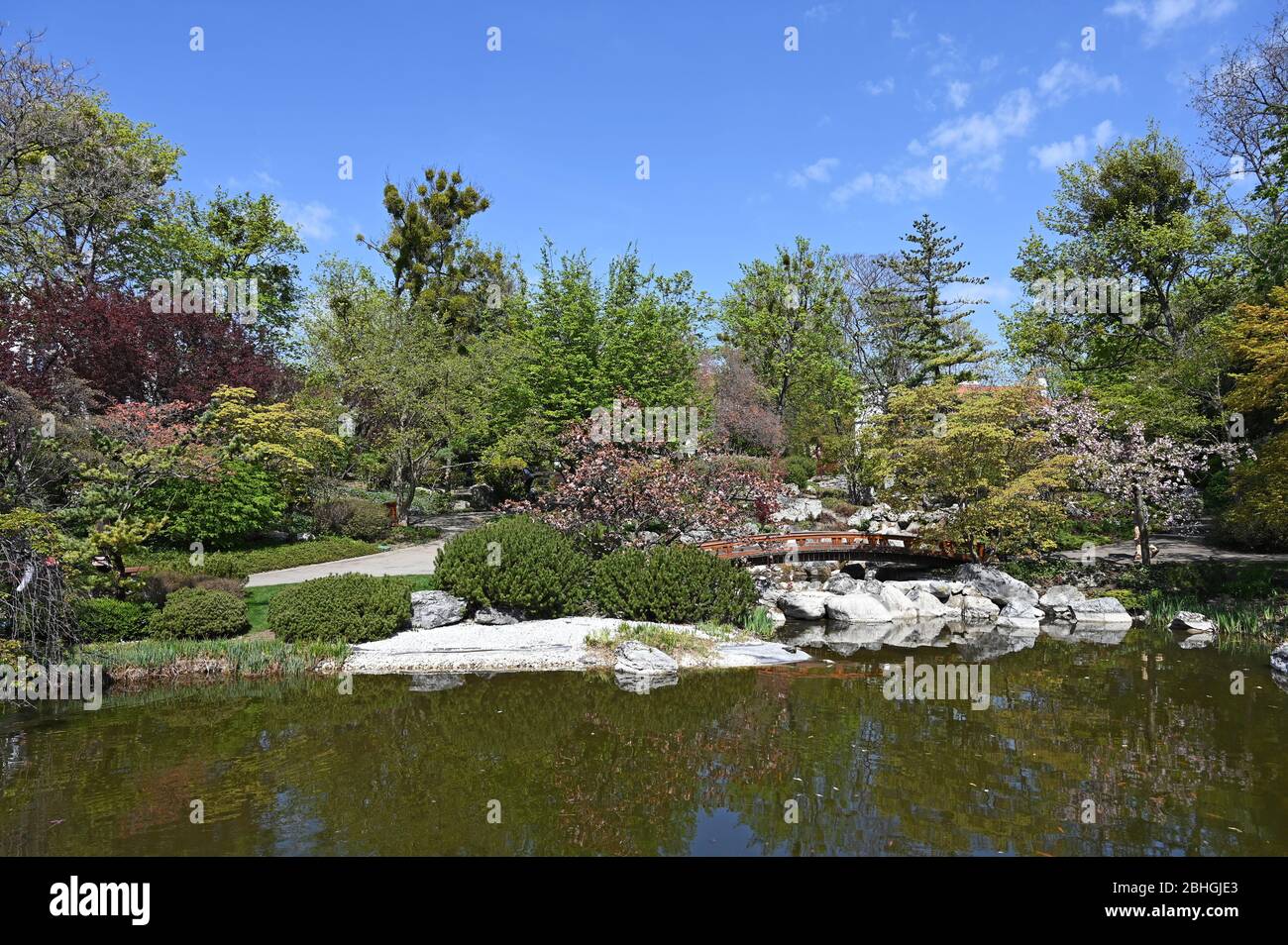 Setagaya Park in spring landscape Vienna Austria Stock Photo