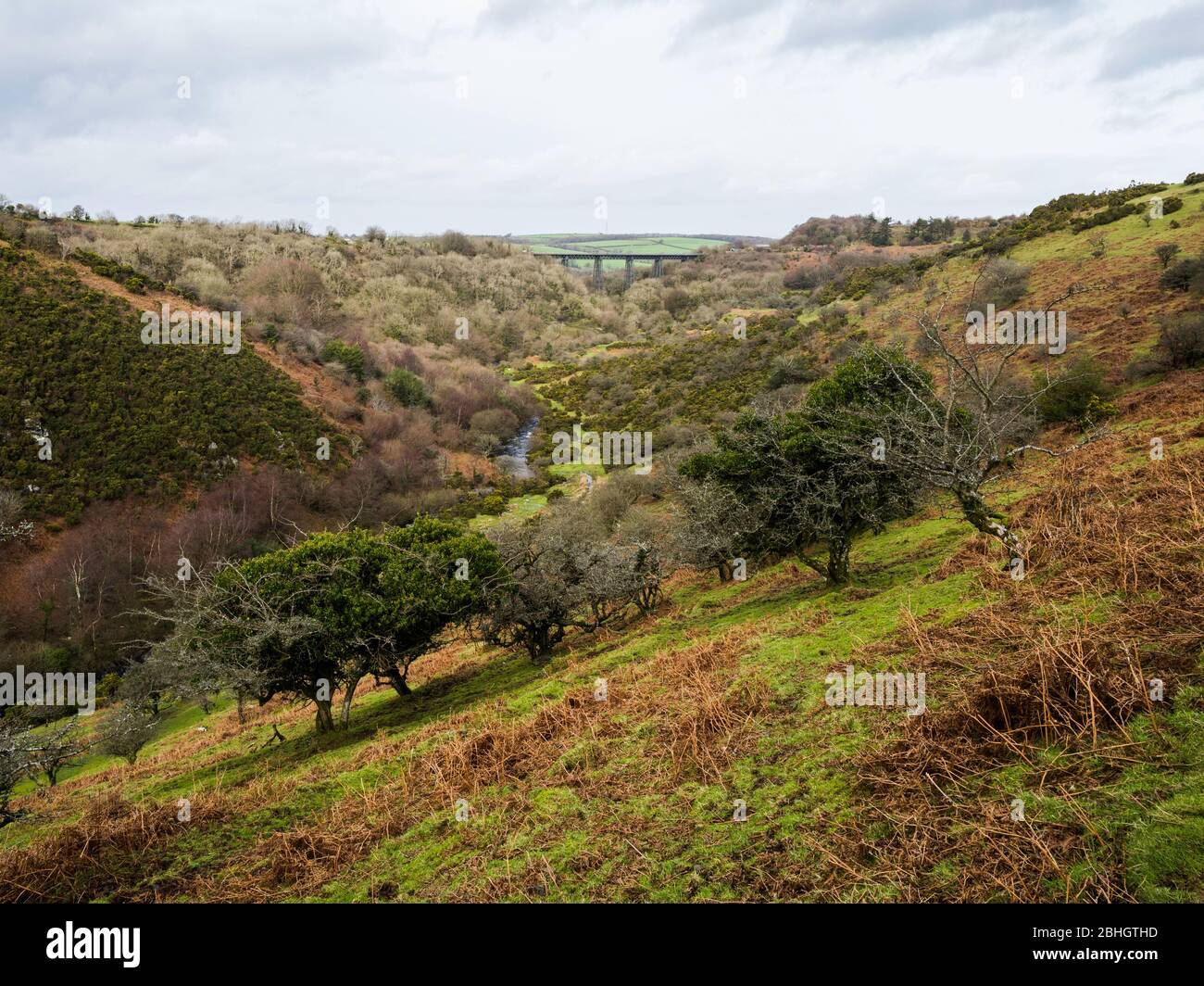 The disused Meldon railway viaduct (1874) carried the London and South