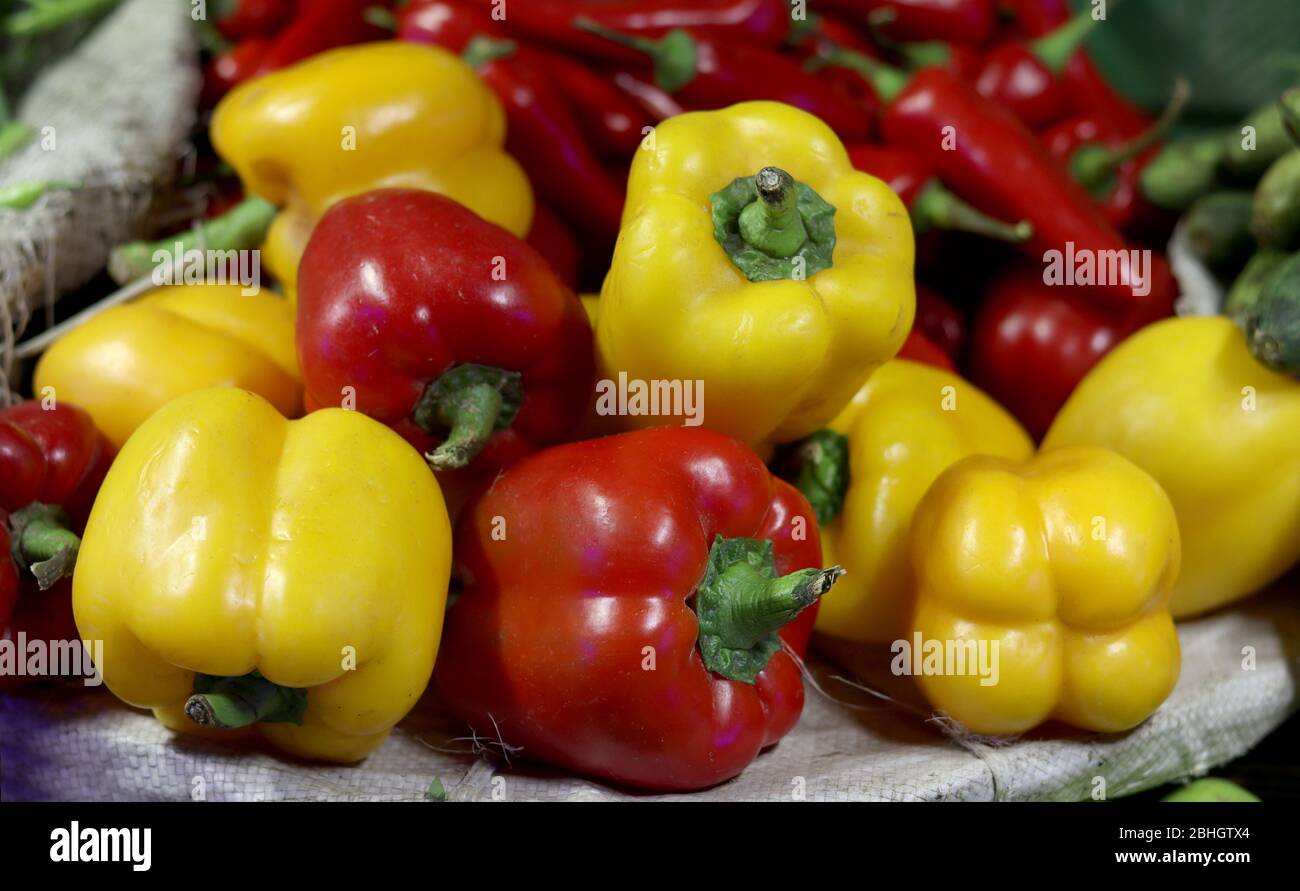 Red and yellow capsicum for sale in vegetable market Stock Photo