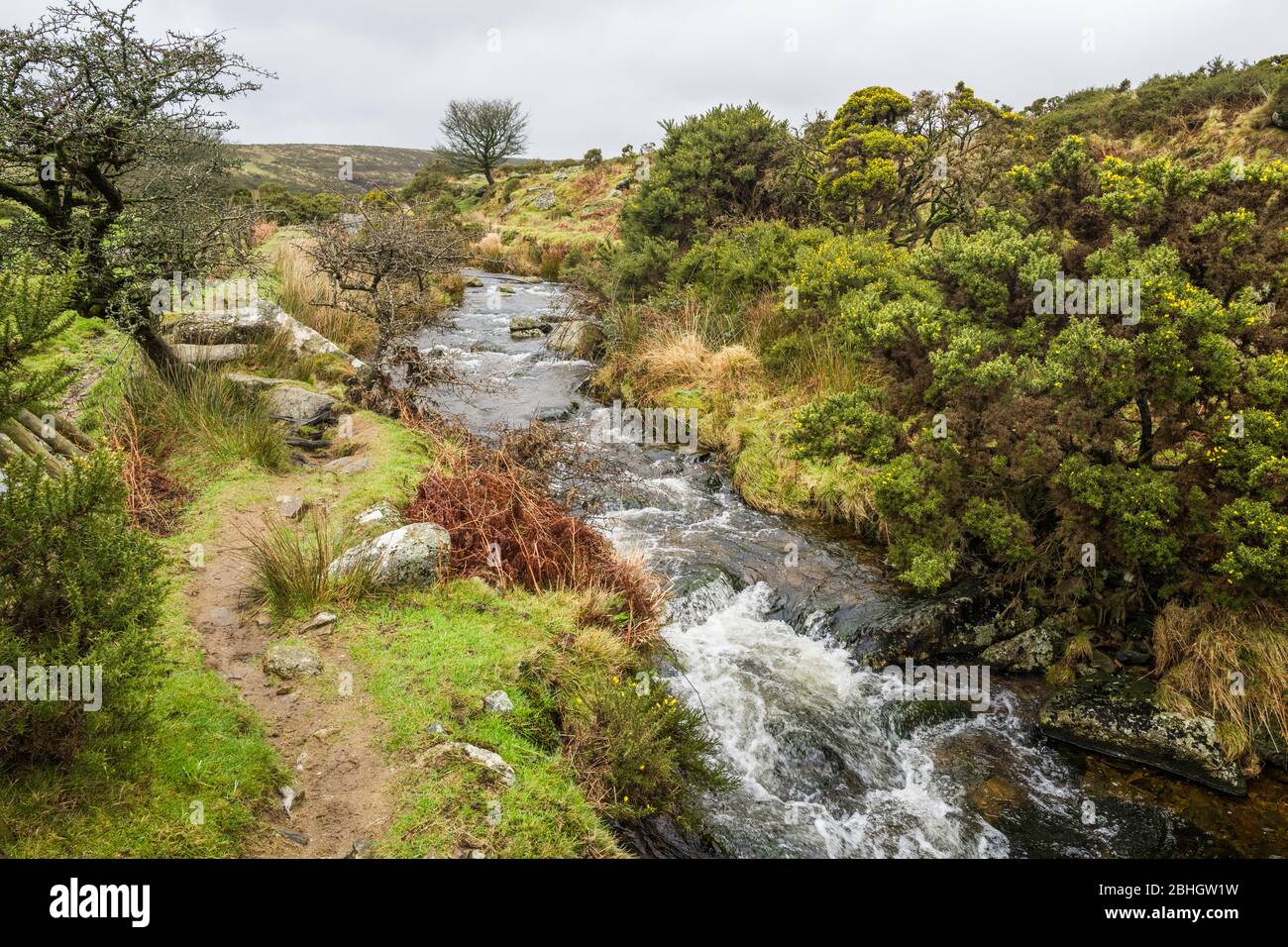 The River Lyd flows below Arms Tor and Brat Tor in Dartmoor National Park, Devon, England, UK. Stock Photo