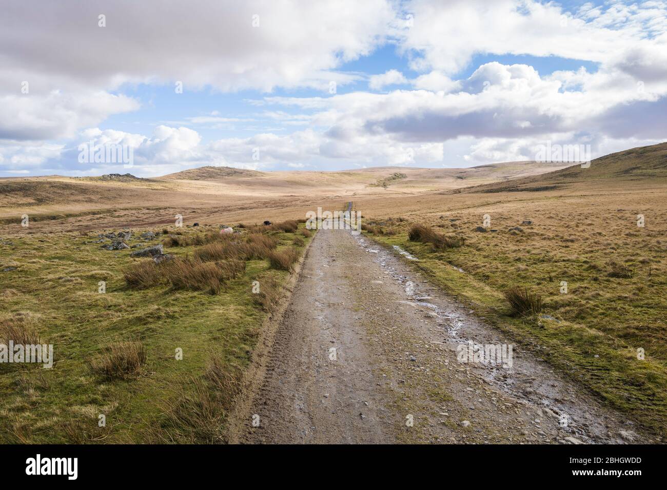 Military road near Okehampton Camp leads south towards, Oke Tor