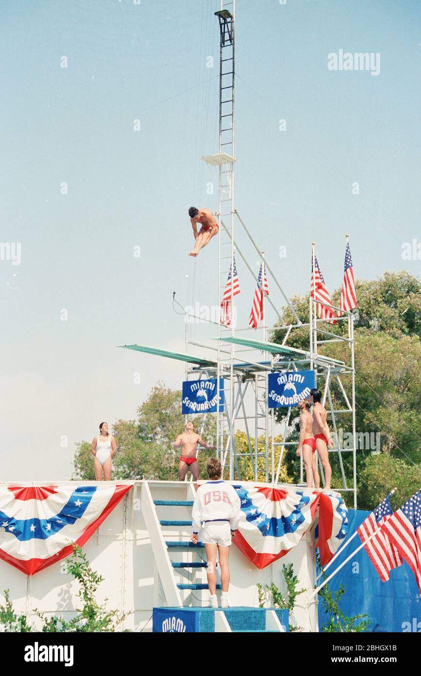 Springboard diver hires stock photography and images Alamy