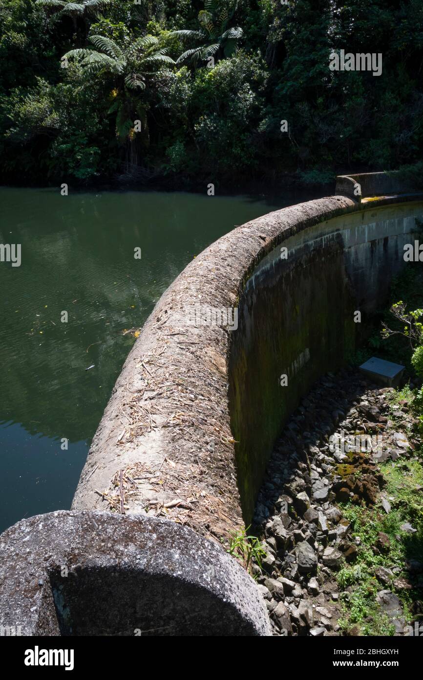 Birchville Dam, an unreinforced concrete arch dam that provided water