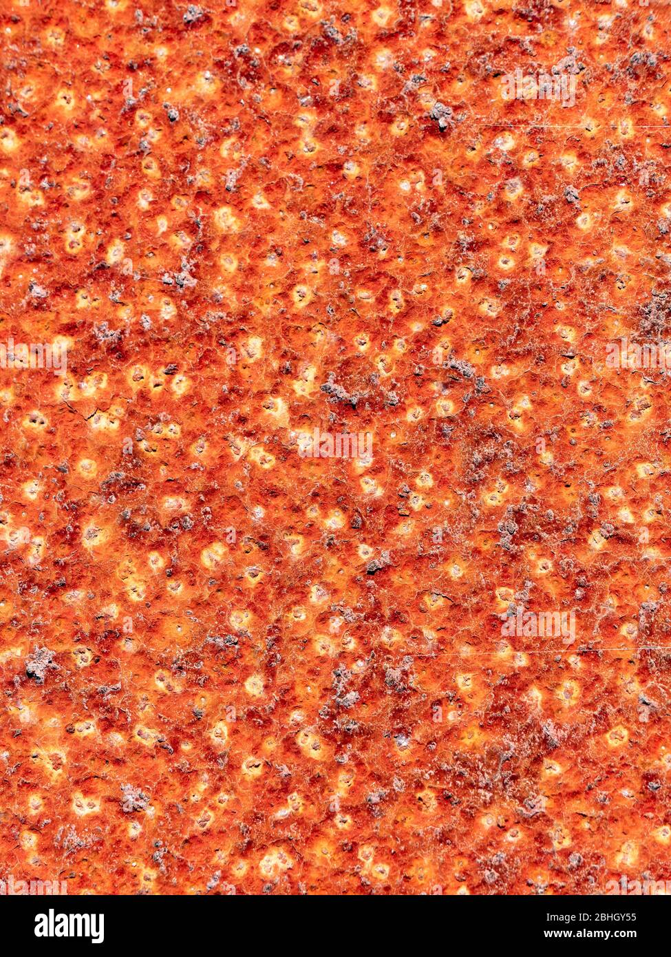 Rusty dots. Close up surface rust on old metal sheet. High quality grunge rusty old and dirty metal plate. Stock Photo