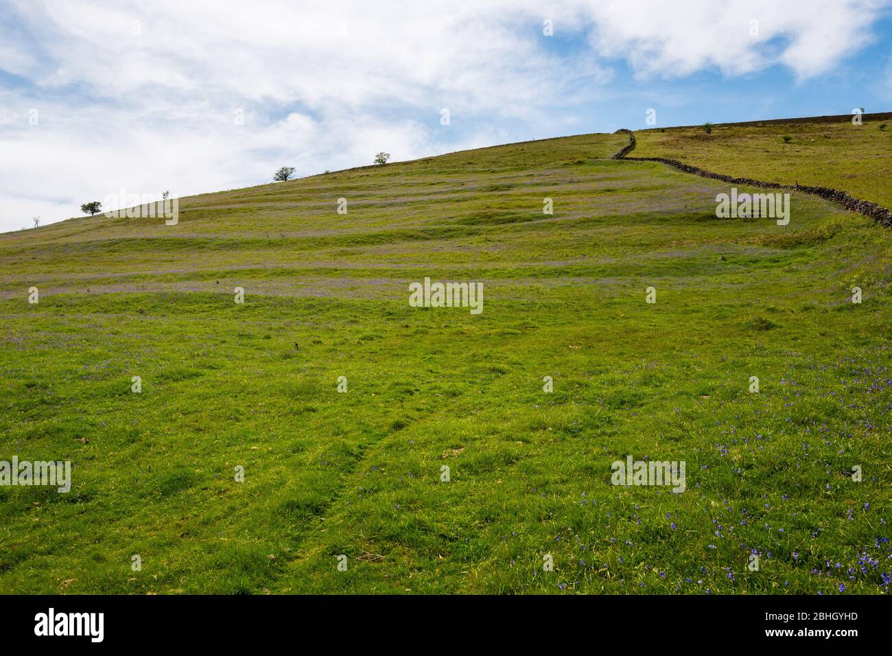 Medieval strip field system on Challacombe Down, Dartmoor National Park, Devon, England, UK Stock Photo