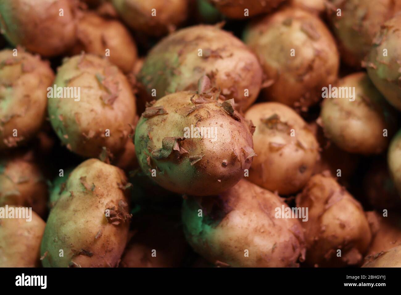 Potatoes for sale in the market. Stock Photo