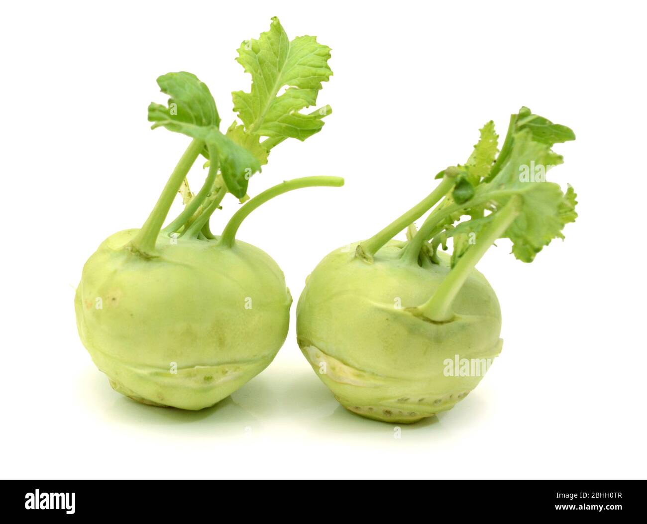 German Turnip with leaf from low perspective isolated on white Stock