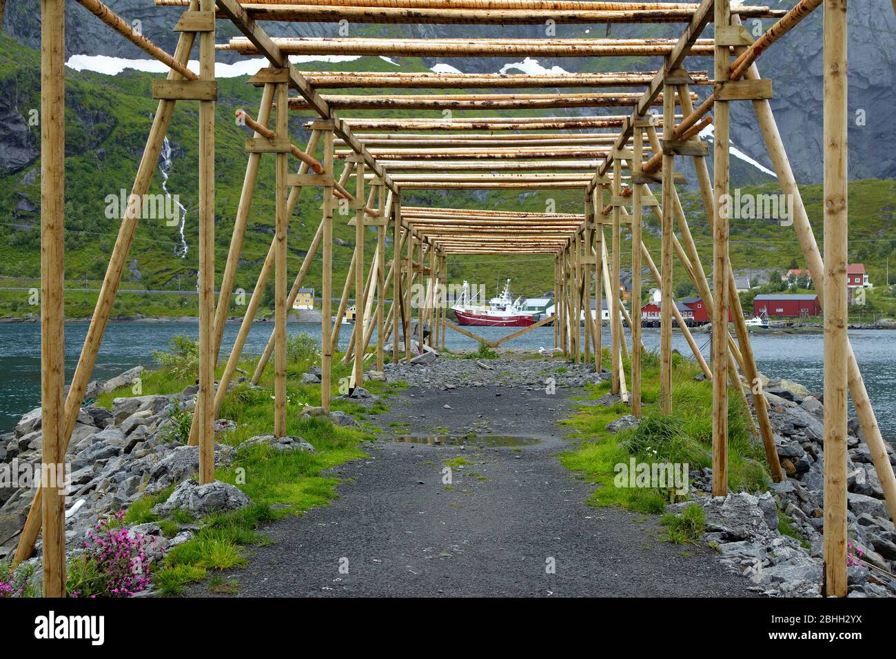 Cod drying rack in the fishing port of Reine in the Lofoten Islands ...