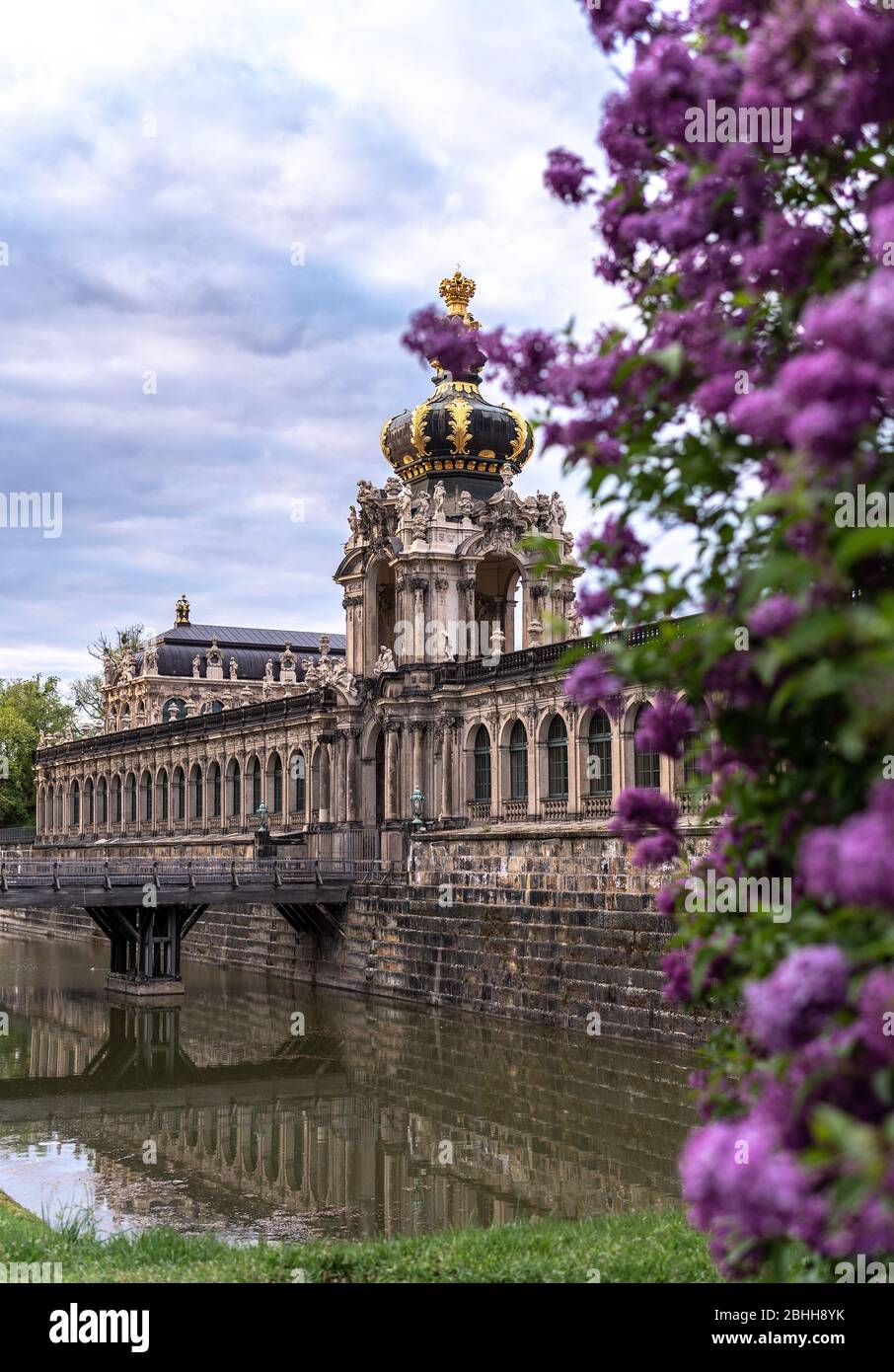 lilac spring zwinger dresden, saxony, germany Stock Photo