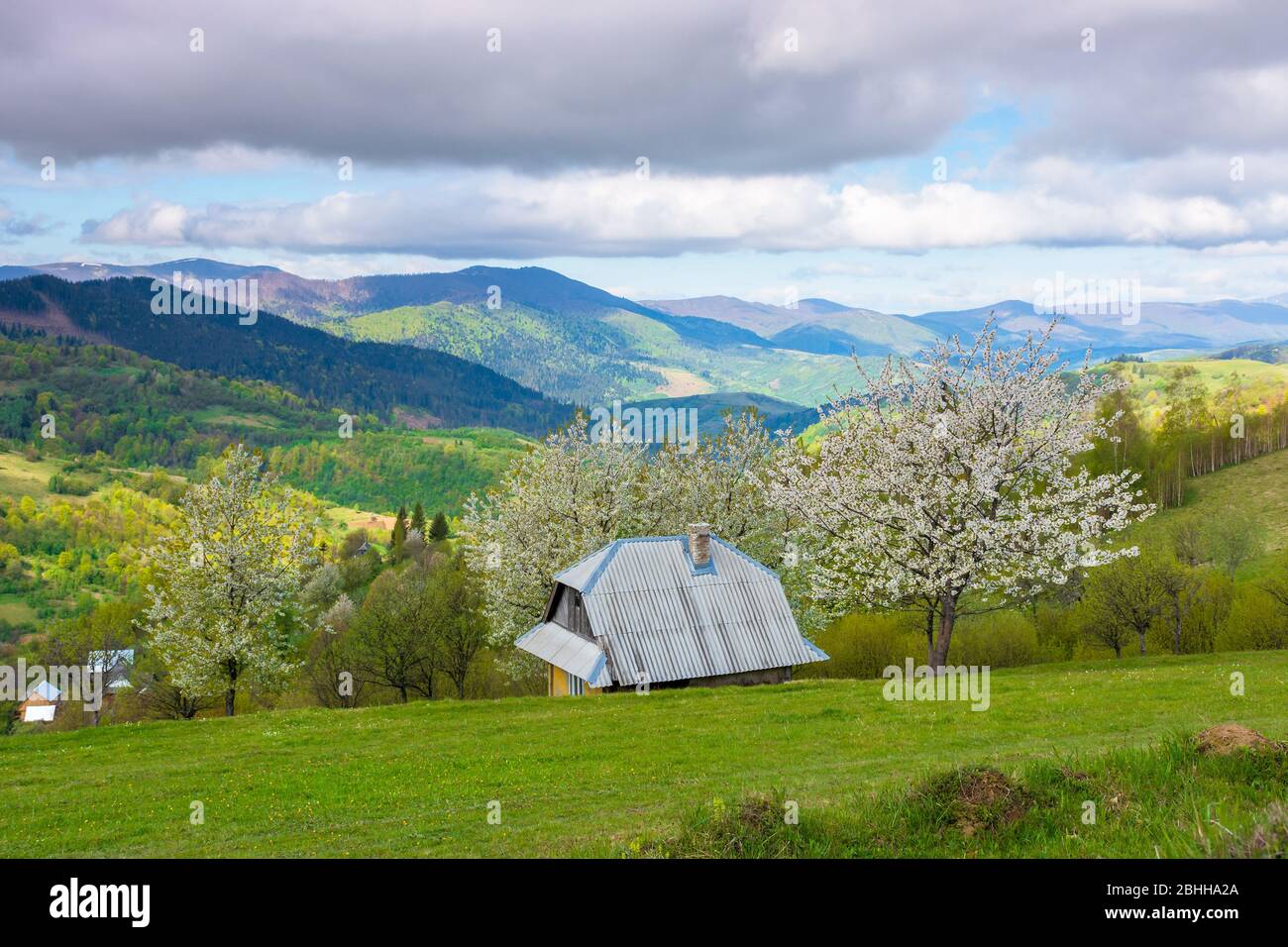 beautiful rural scenery in mountains. blossoming trees on the grassy hills. village in the distant valley. downshifting and sustainability concept Stock Photo