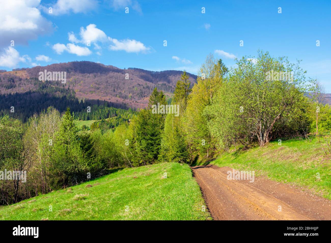 Beautiful Nature Mountain Scenery Path Through Forest On Grassy Hills In Springtime Concept Of Outdoor Adventure On A Sunny Day With Clouds On The B Stock Photo Alamy Beautiful Nature Mountain Scenery Path Through Forest On Grassy Hills In Springtime Concept Of Outdoor Adventure On A Sunny Day With Clouds On The B Stock Photo Alamy