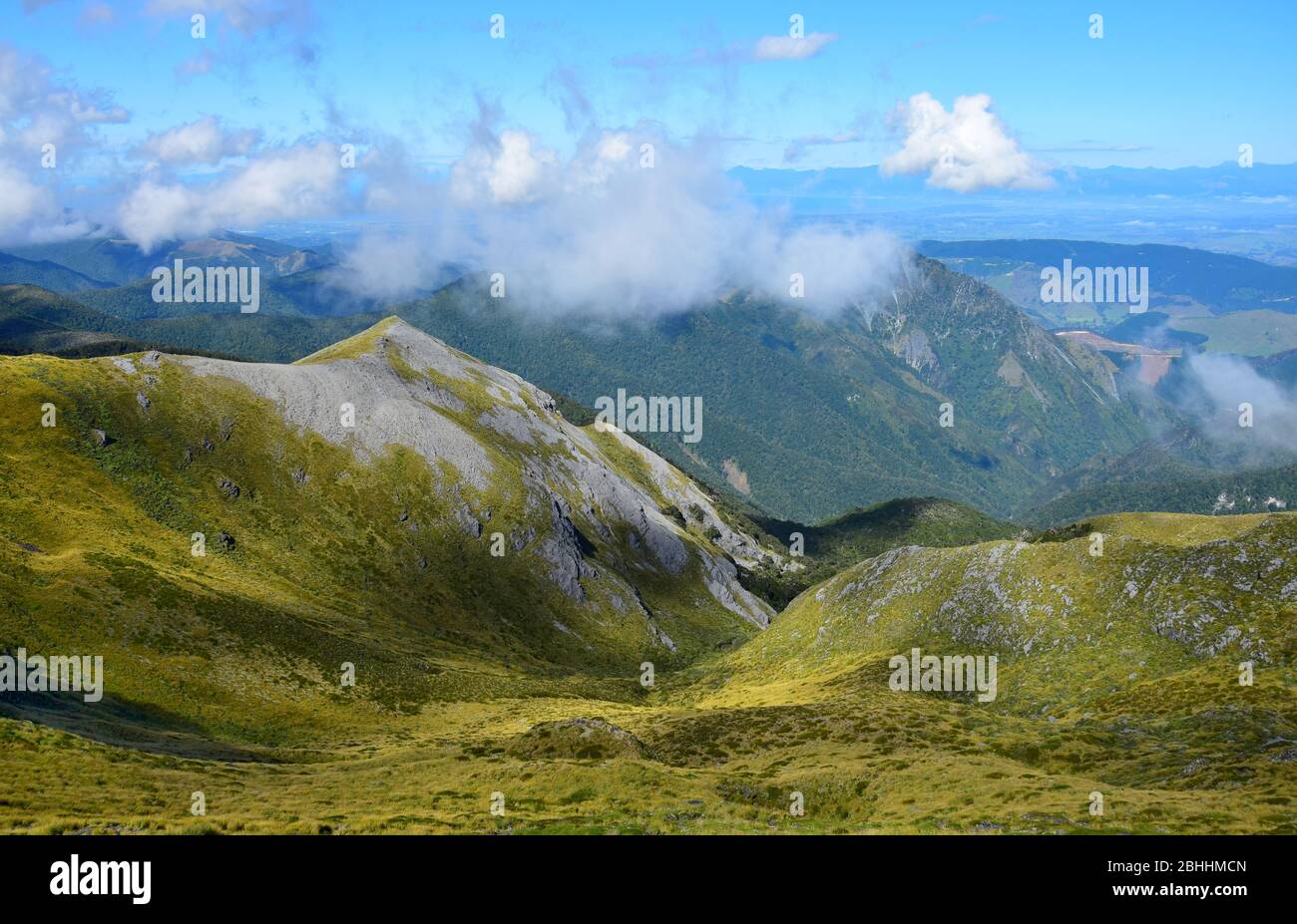 Beautiful mountain landscape. Mount Arthur Range, Kahurangi National Park, New Zealand, South Island. Stock Photo